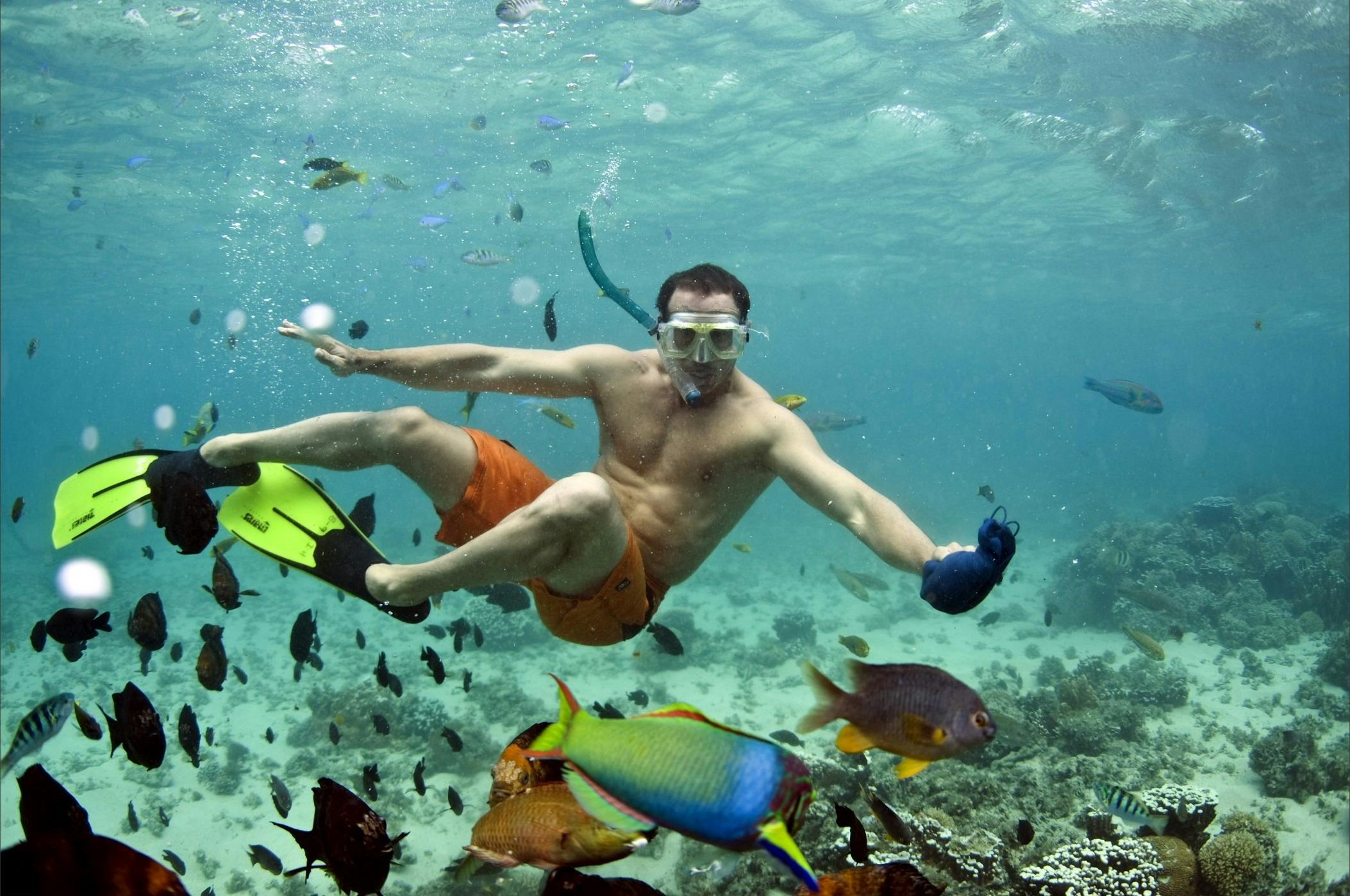 Snorkellor in Erscott's Hole Lord Howe Island