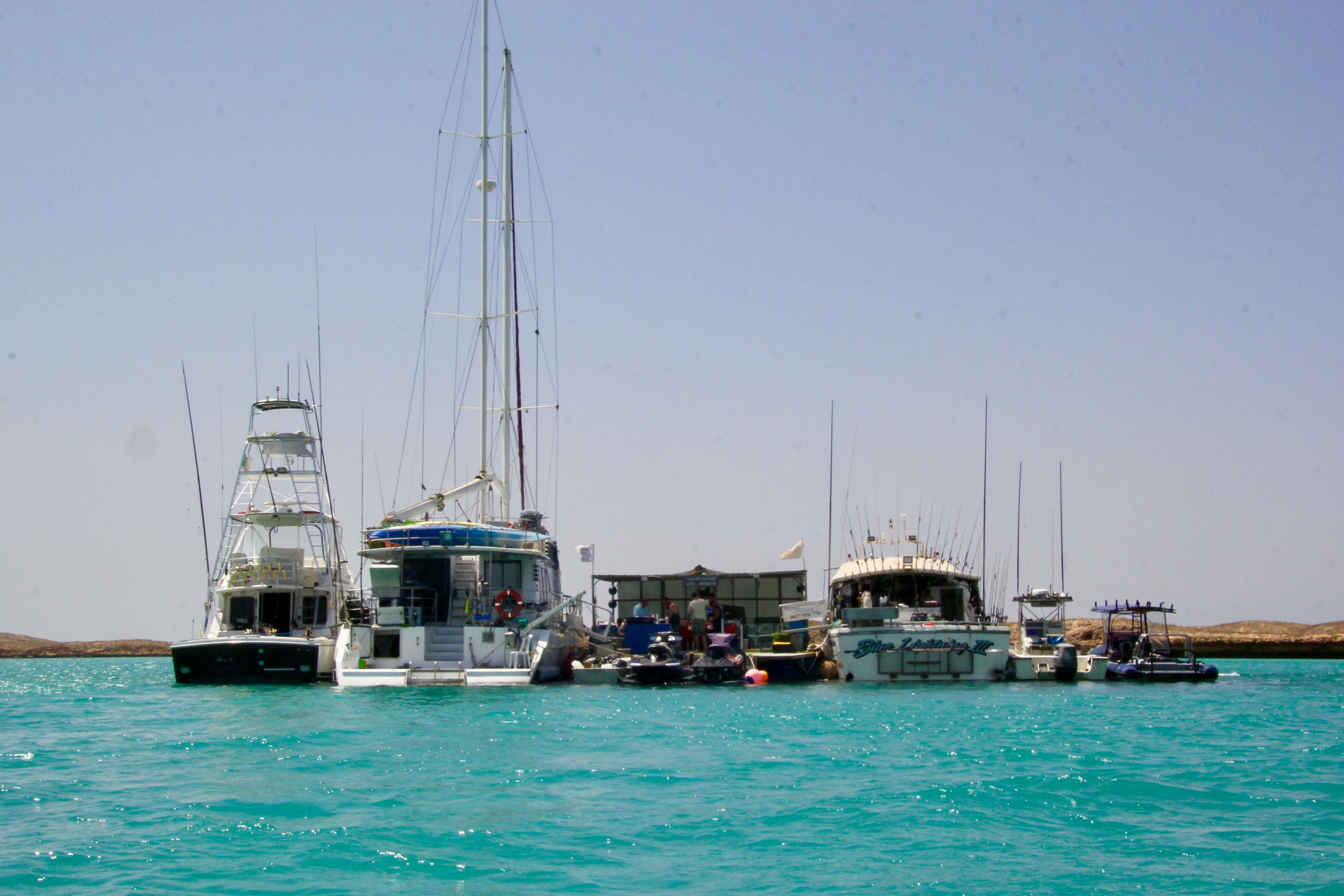 Blue Lightning Fishing Charters, Mandurah, Western Australia