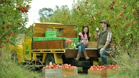 Owners Tessa and Shane McLaughlin at Shields Orchard