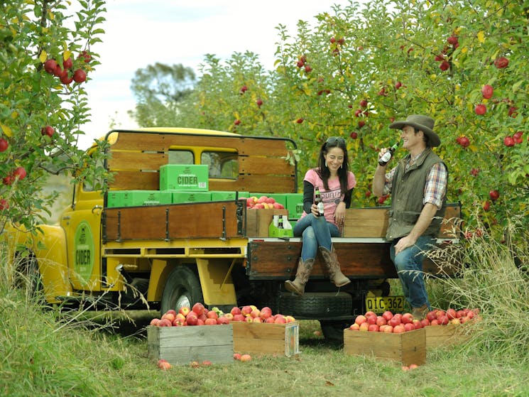 Owners Tessa and Shane McLaughlin at Shields Orchard