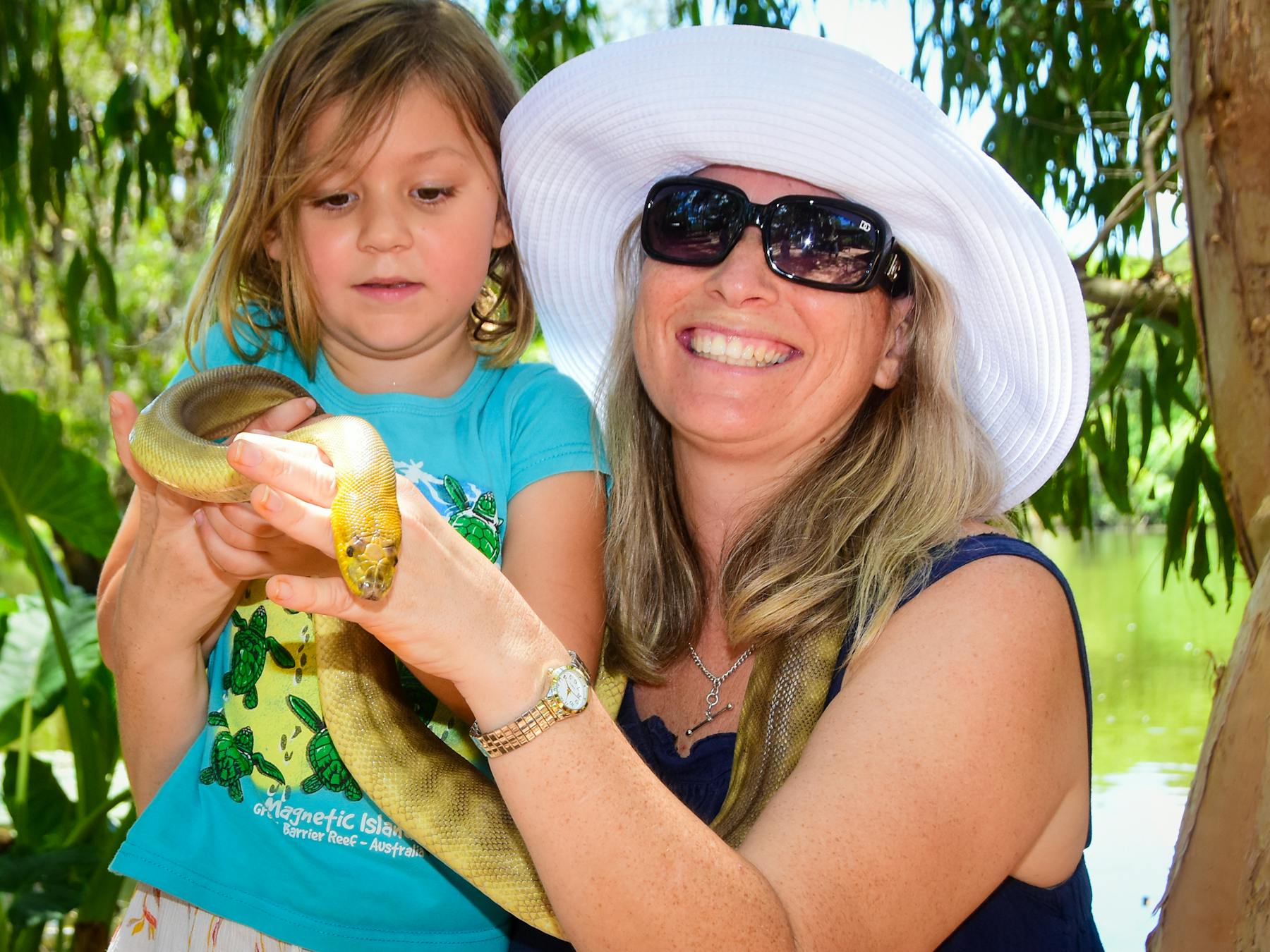 Free of charge interaction with reptiles