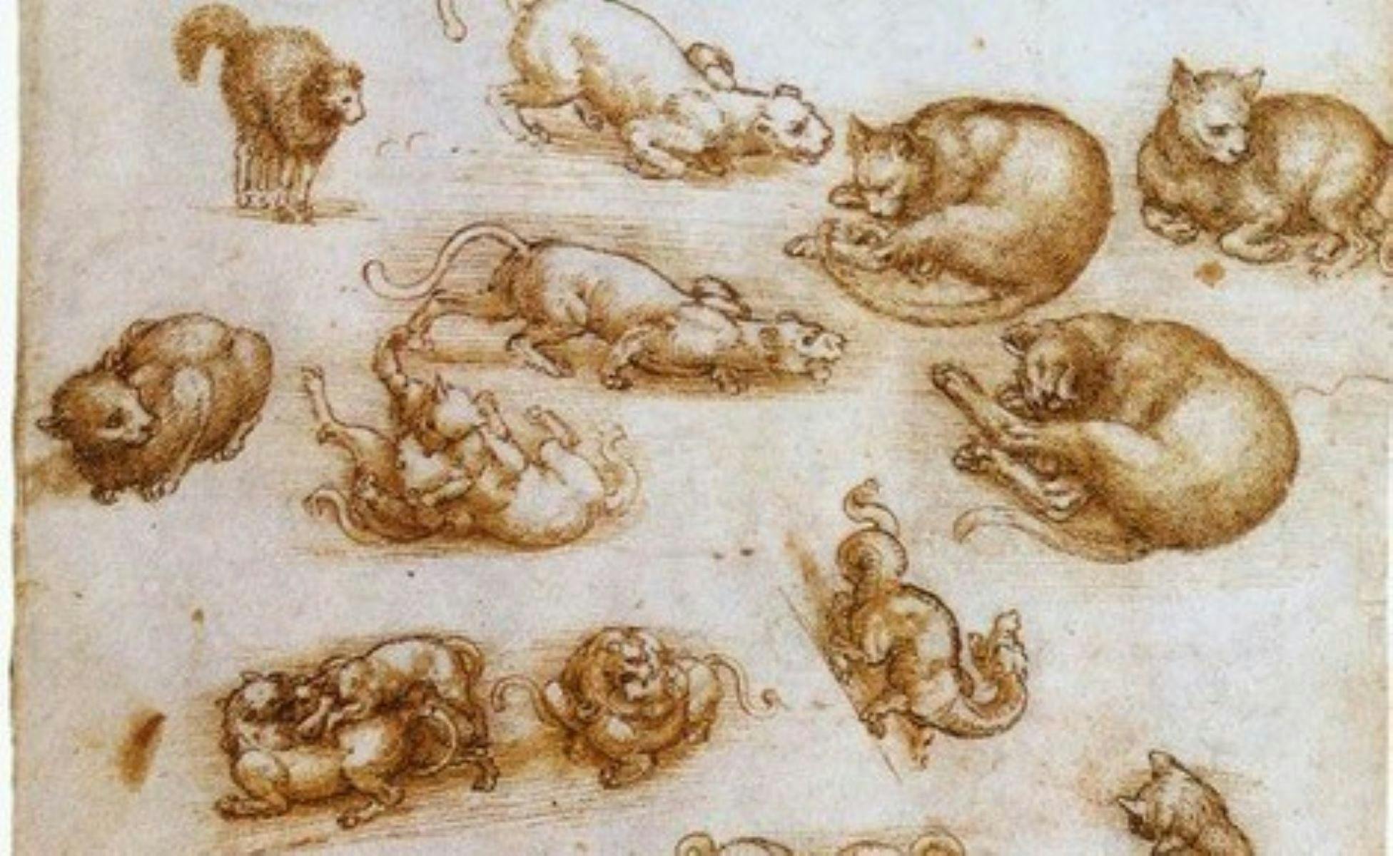 From: Two studies of a cat and one of a dog.jpg