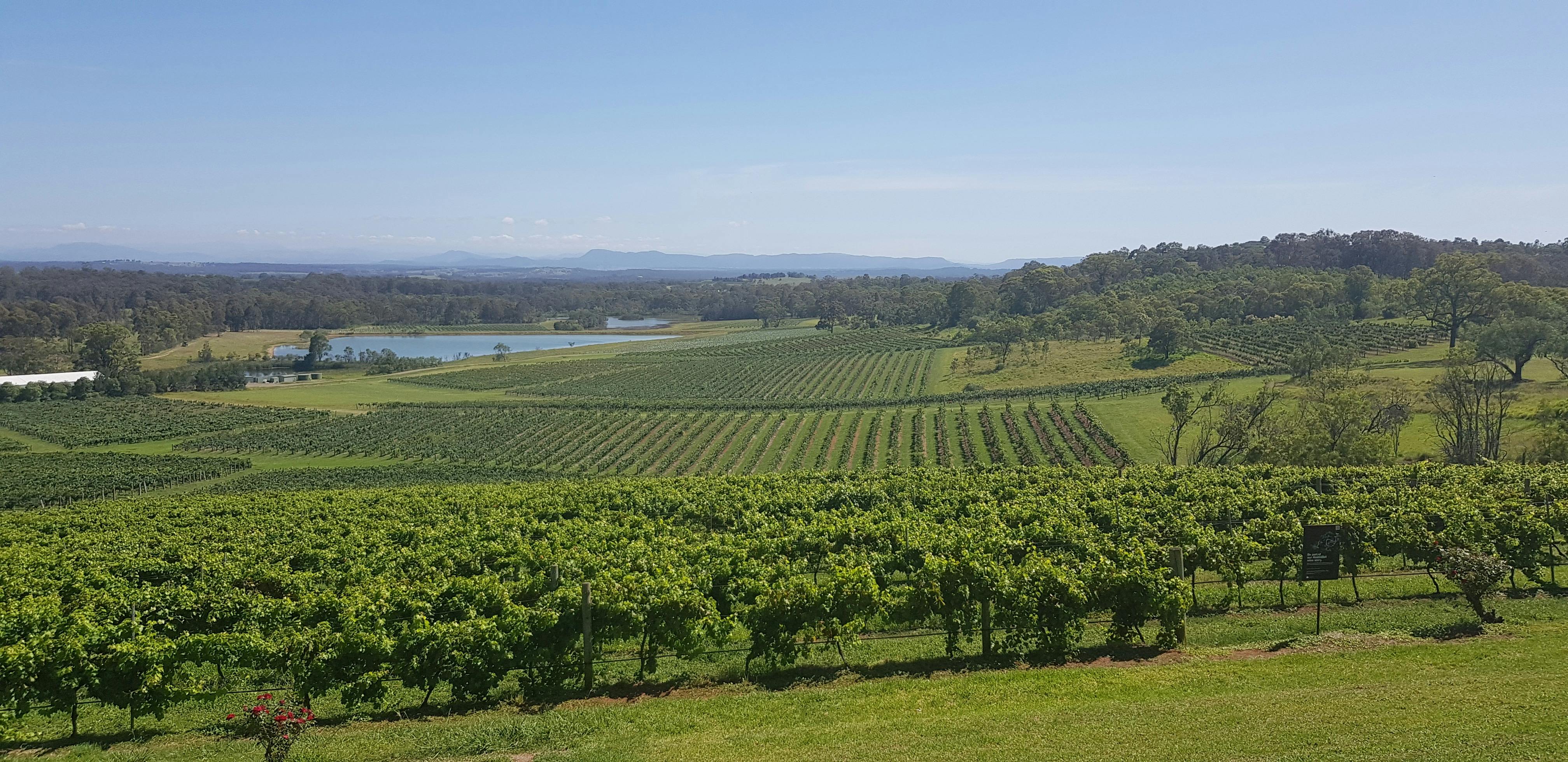 Private Hunter Valley Tour