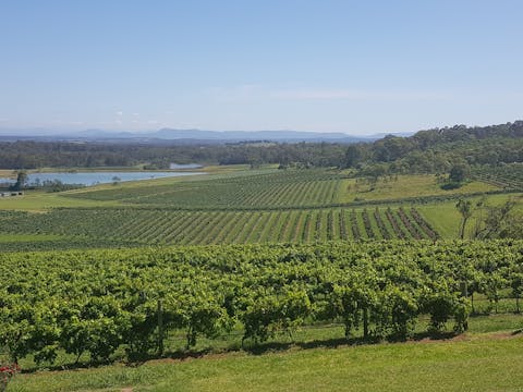 Private Hunter Valley Tour