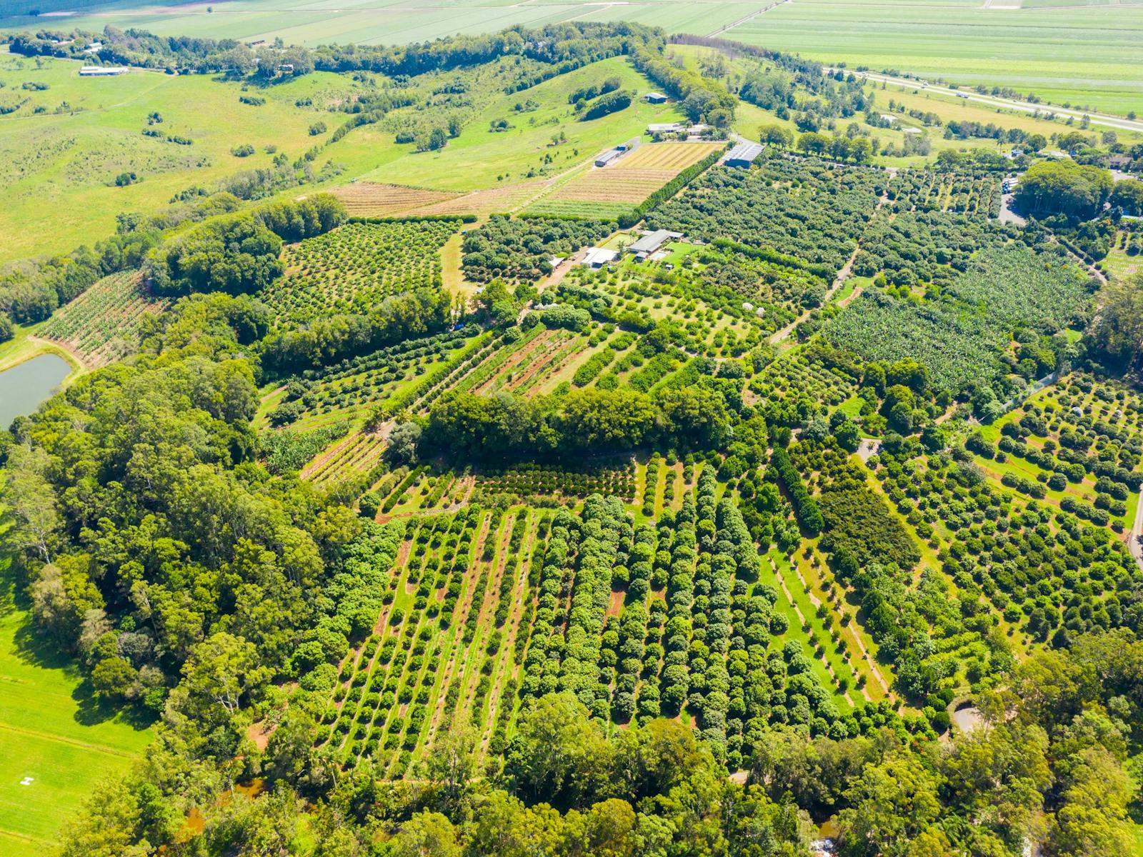 Aerial image