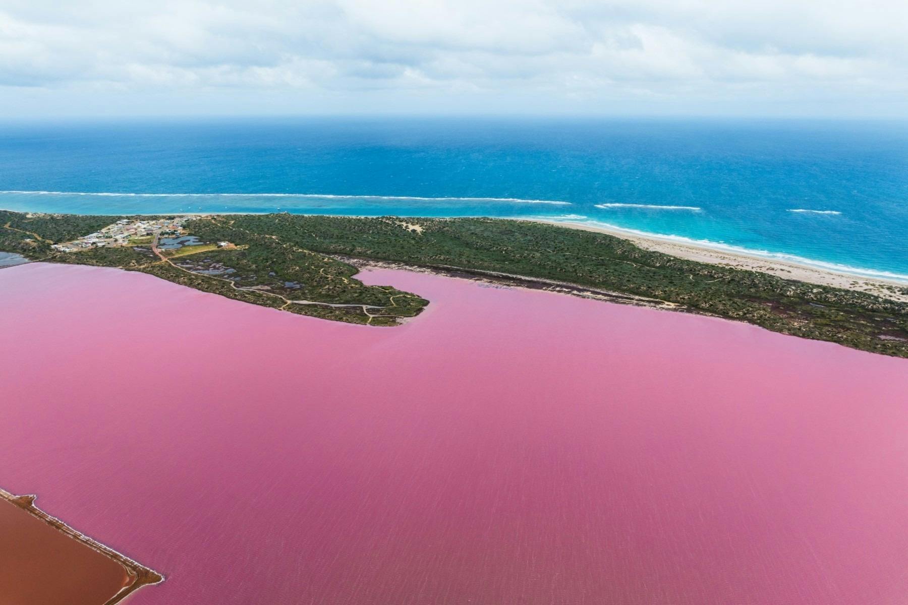 Pink Lake