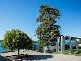Leichhardt Tree at Bluewater Quay
