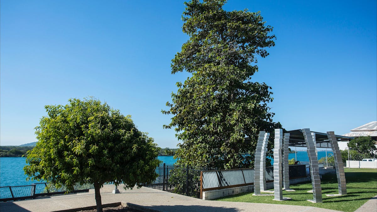 Leichhardt Tree at Bluewater Quay