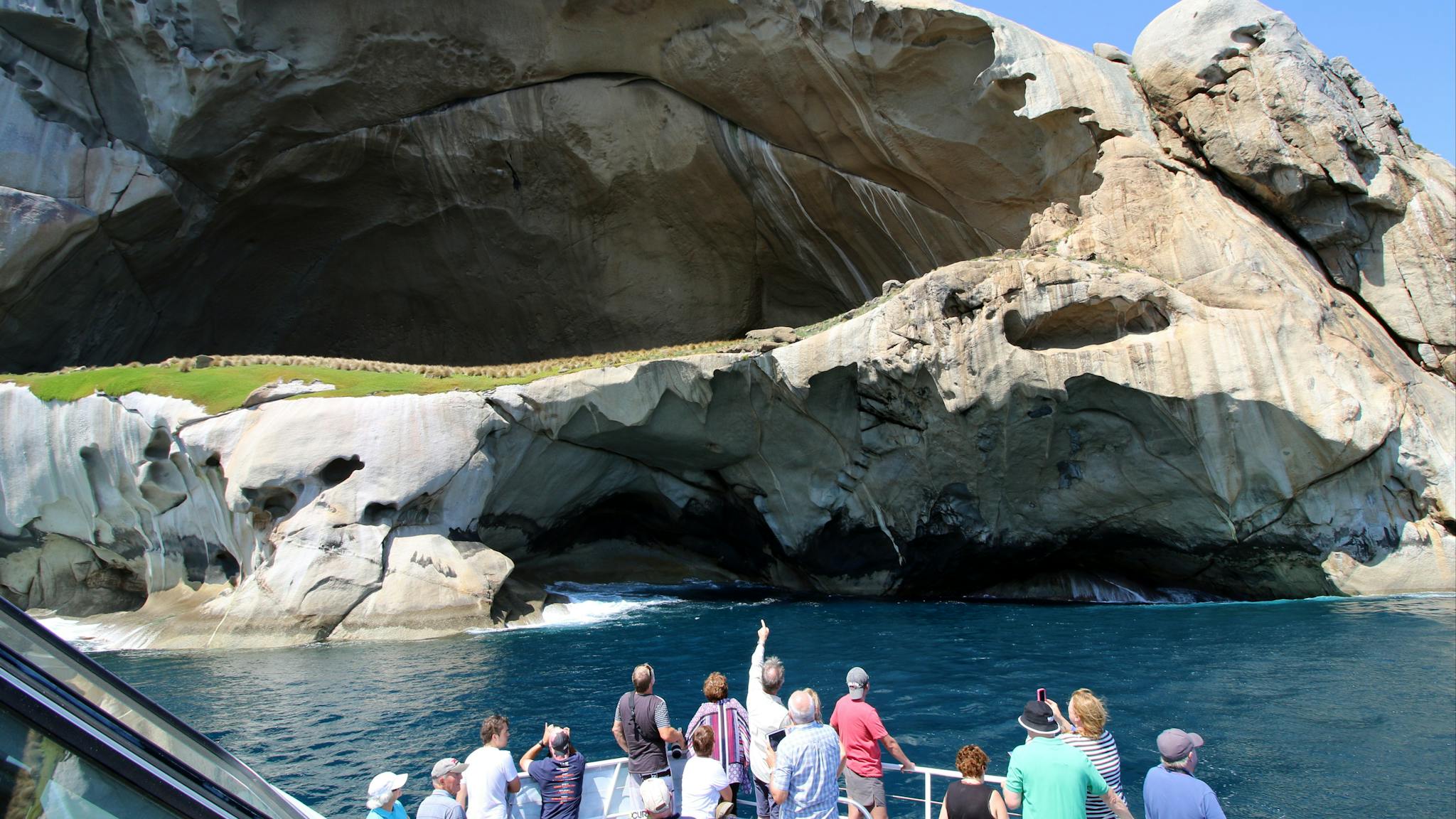 Wildlife Coast Cruises