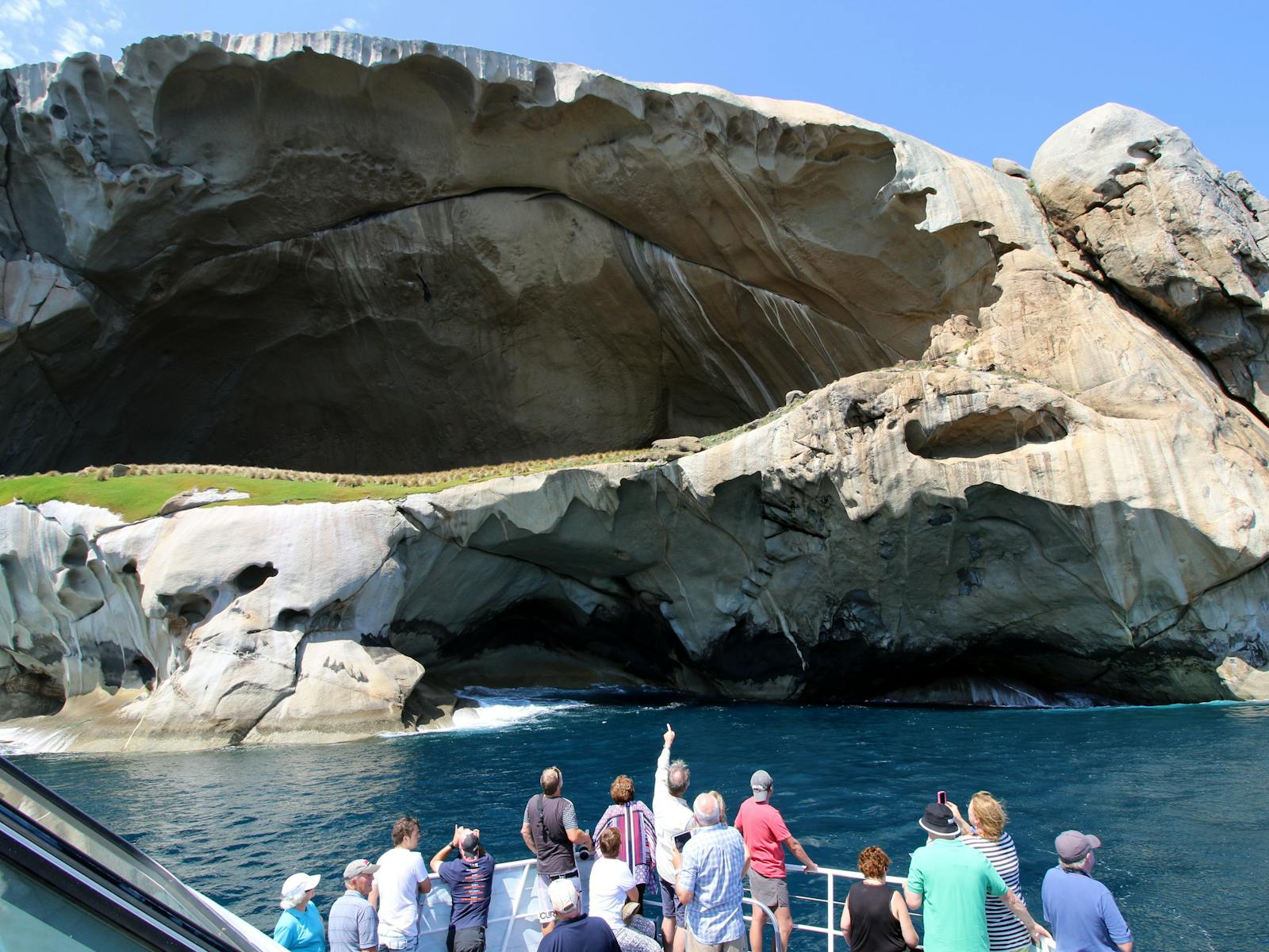 Wildlife Coast Cruises