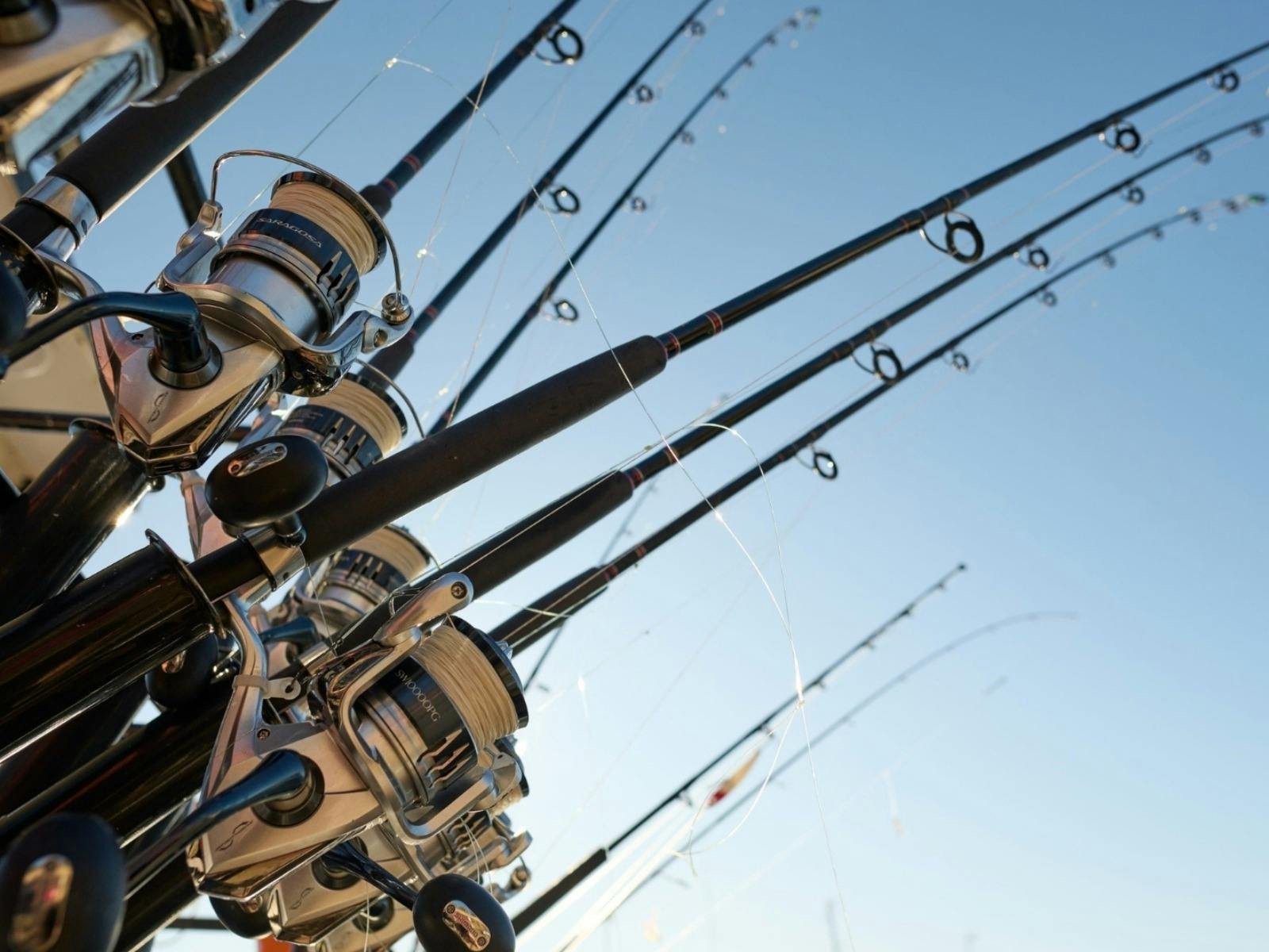 Fishing on Sydney Harbour