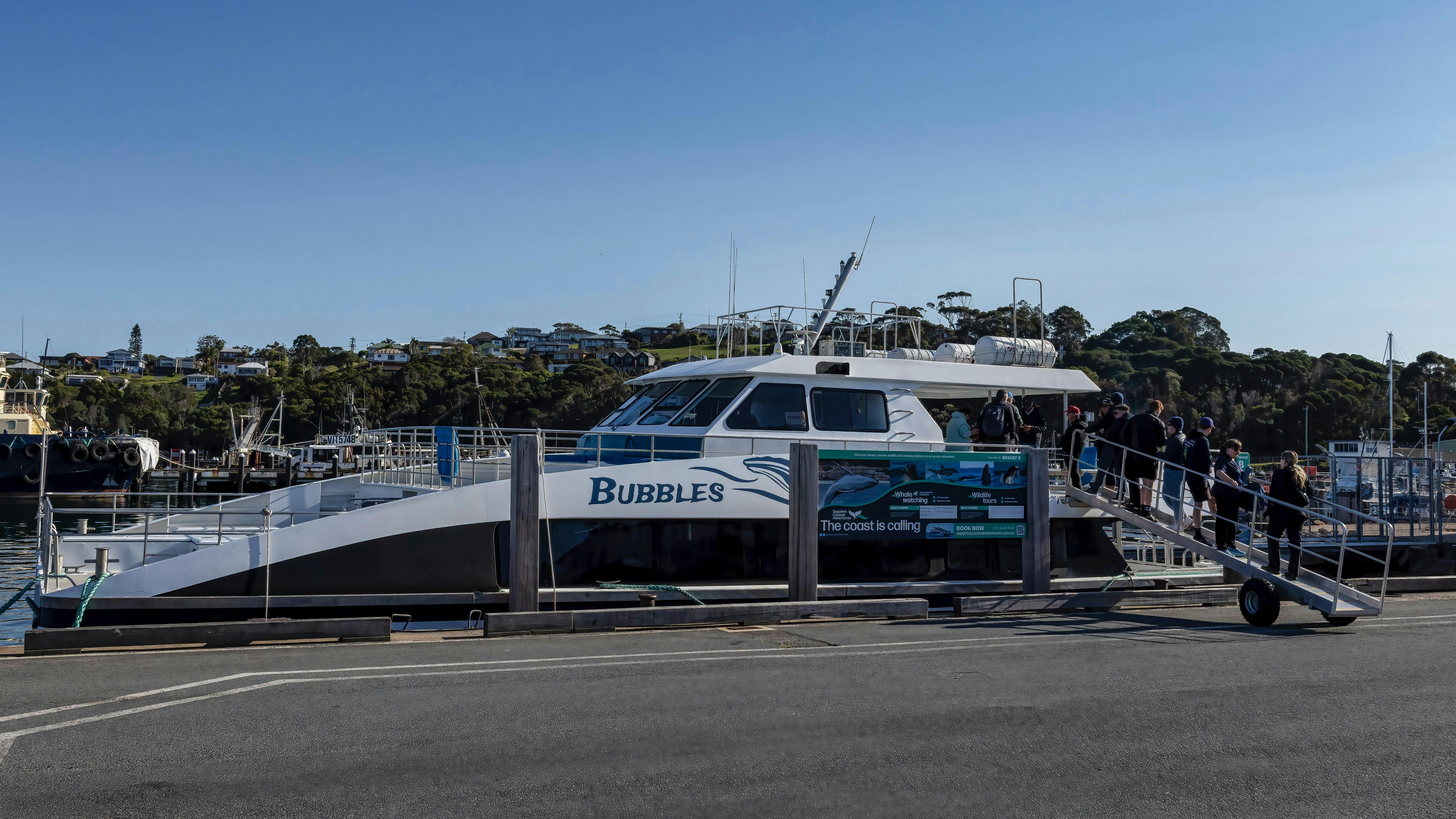 伊甸碼頭的“Vessel Bubbles”