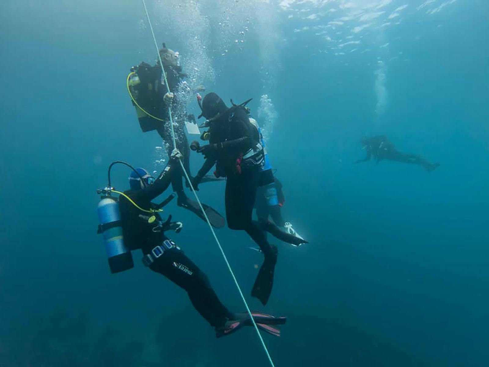Deep Diving