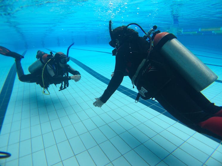 Learn how to SCUBA Dive