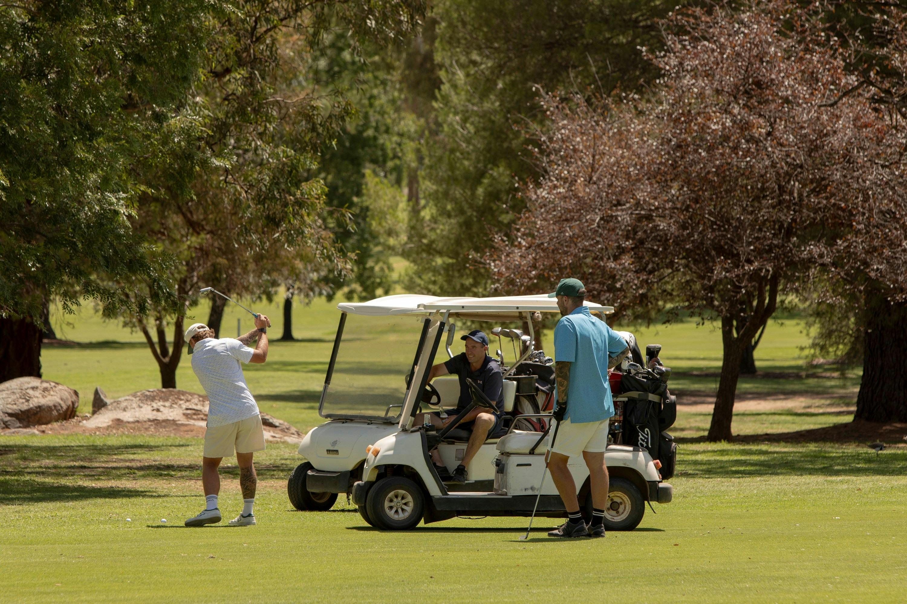 Young golf club