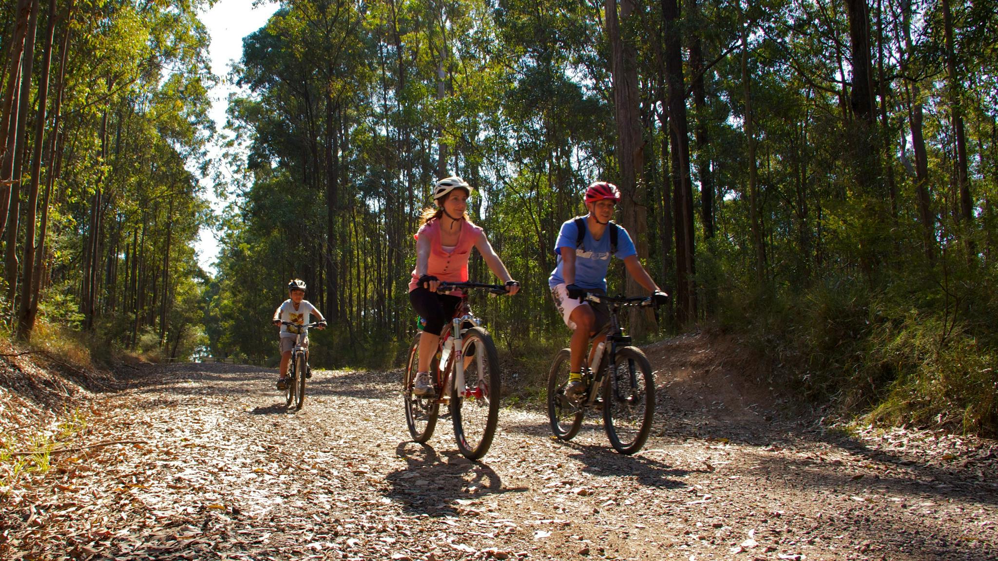 Family rides bicycles along dirt track fringed by forest.