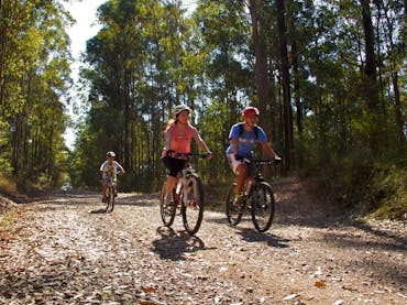 Family rides bicycles along dirt track fringed by forest.