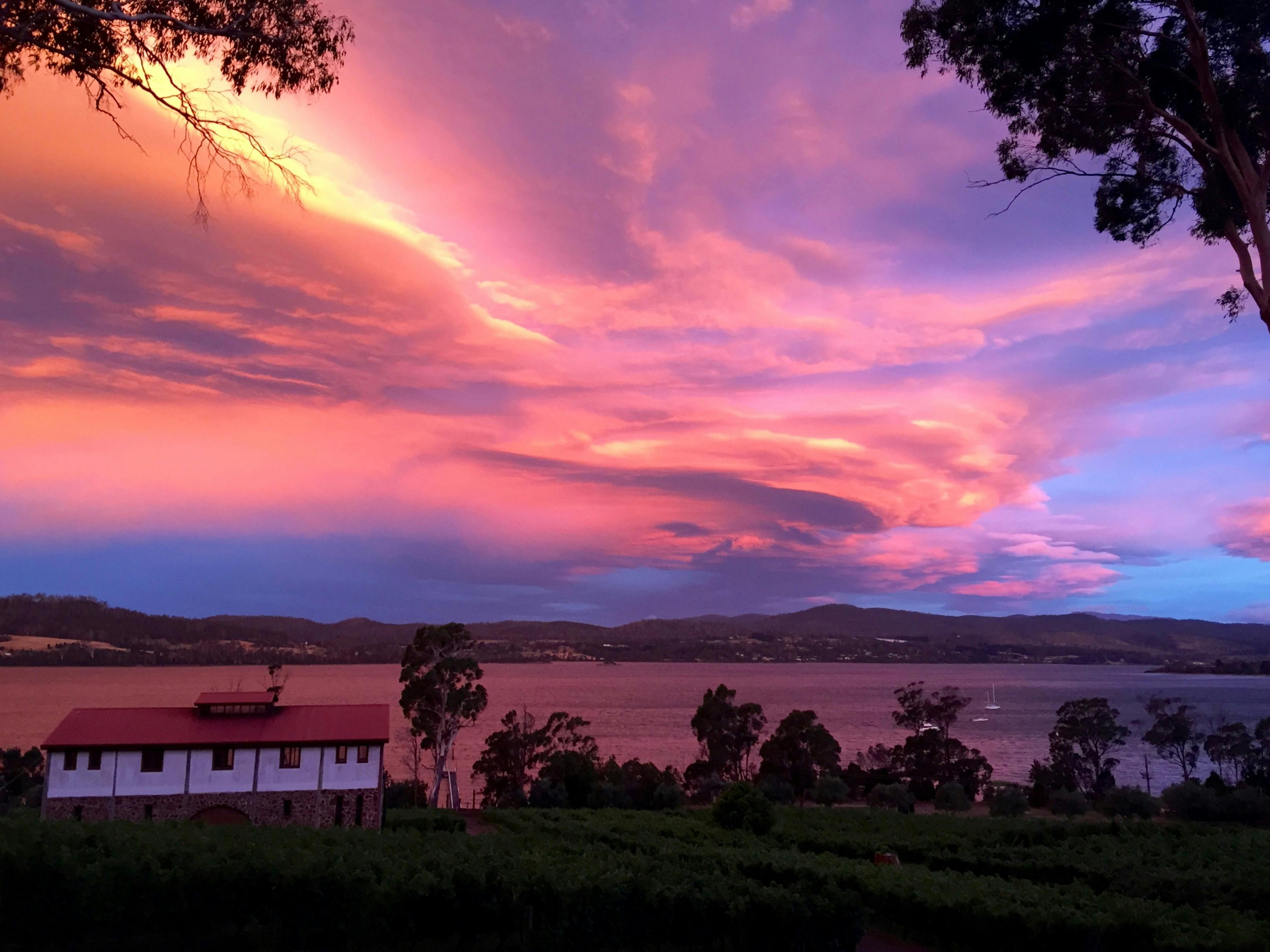 gorgeous Marions Vineyard sunset