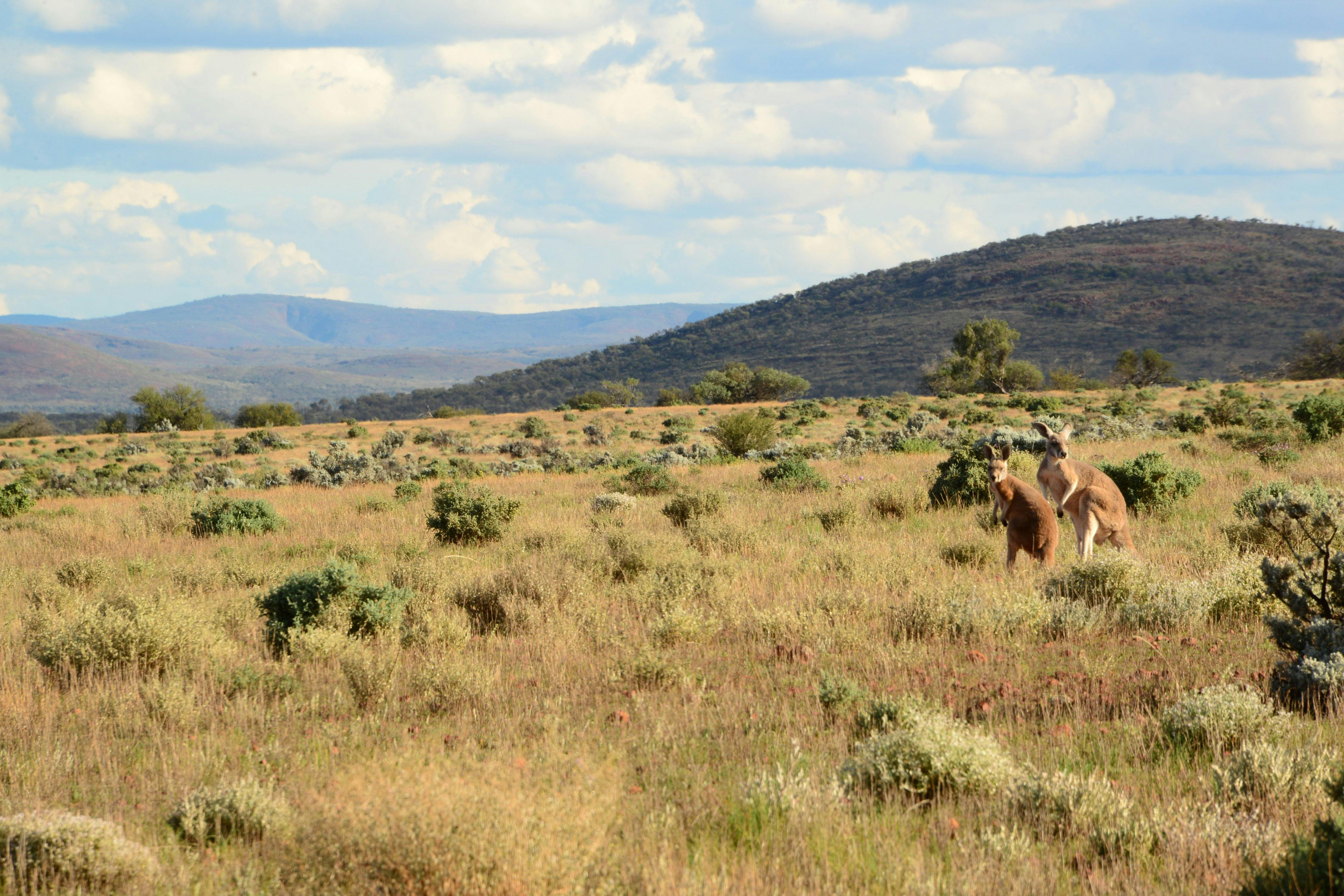 Landscapes change regularly through the itinerary