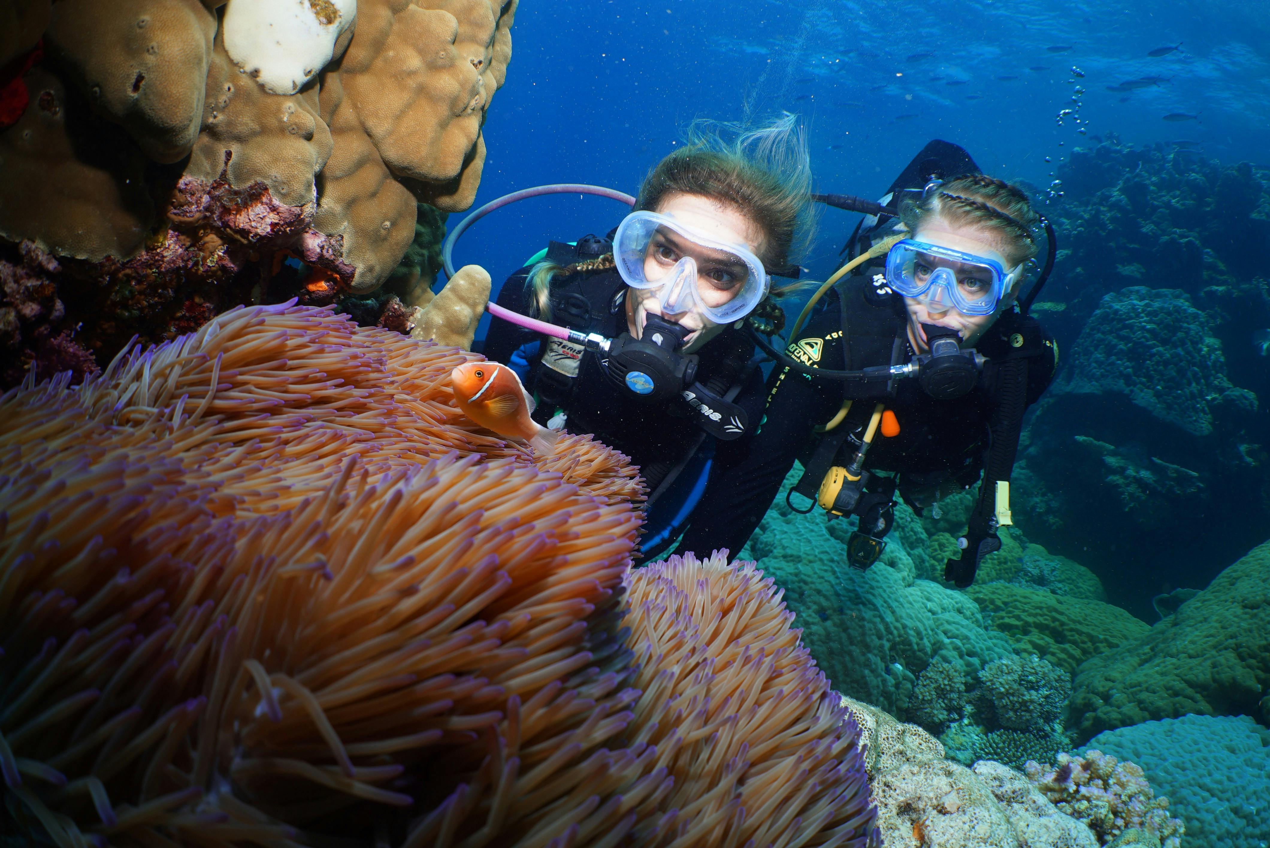 scuba divers at Agincourt reef