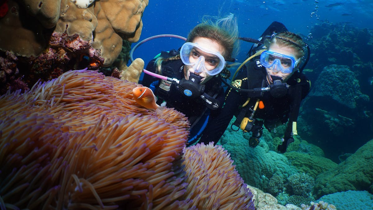 scuba divers at Agincourt reef