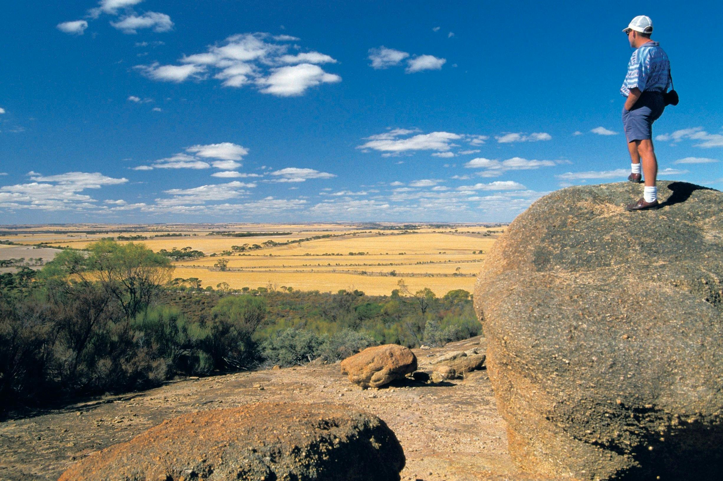 Wave Rock Wildflower Trail, Kellerberrin, Western Australia