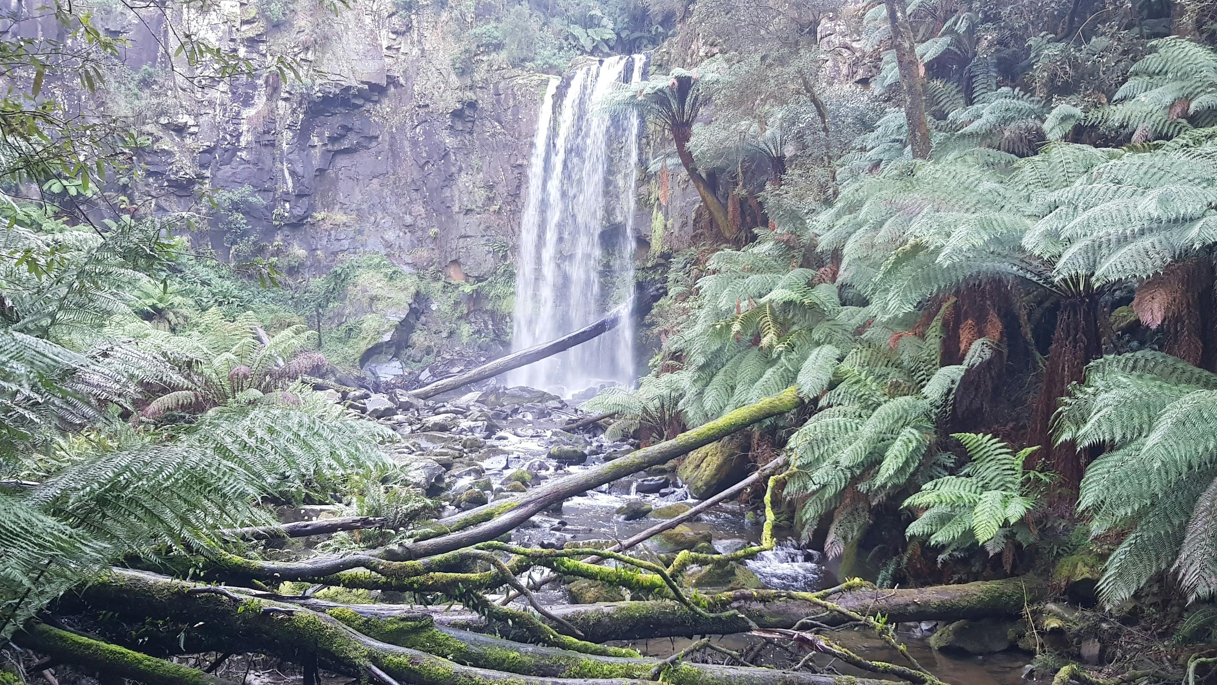 Hopetown  Falls