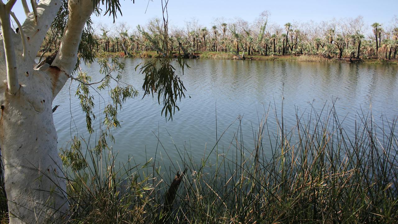 Millstream Chichester National Park
