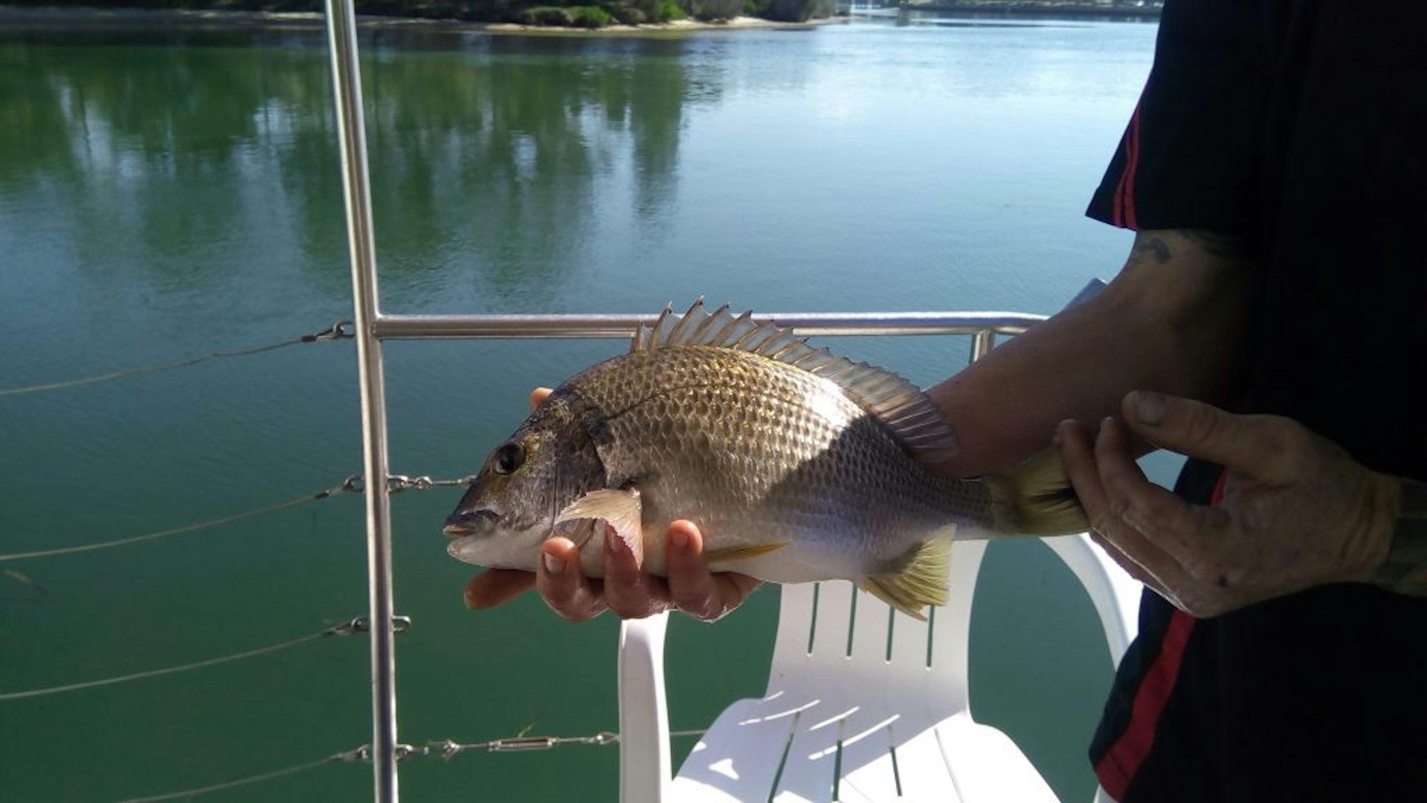 fishing houseboat hire