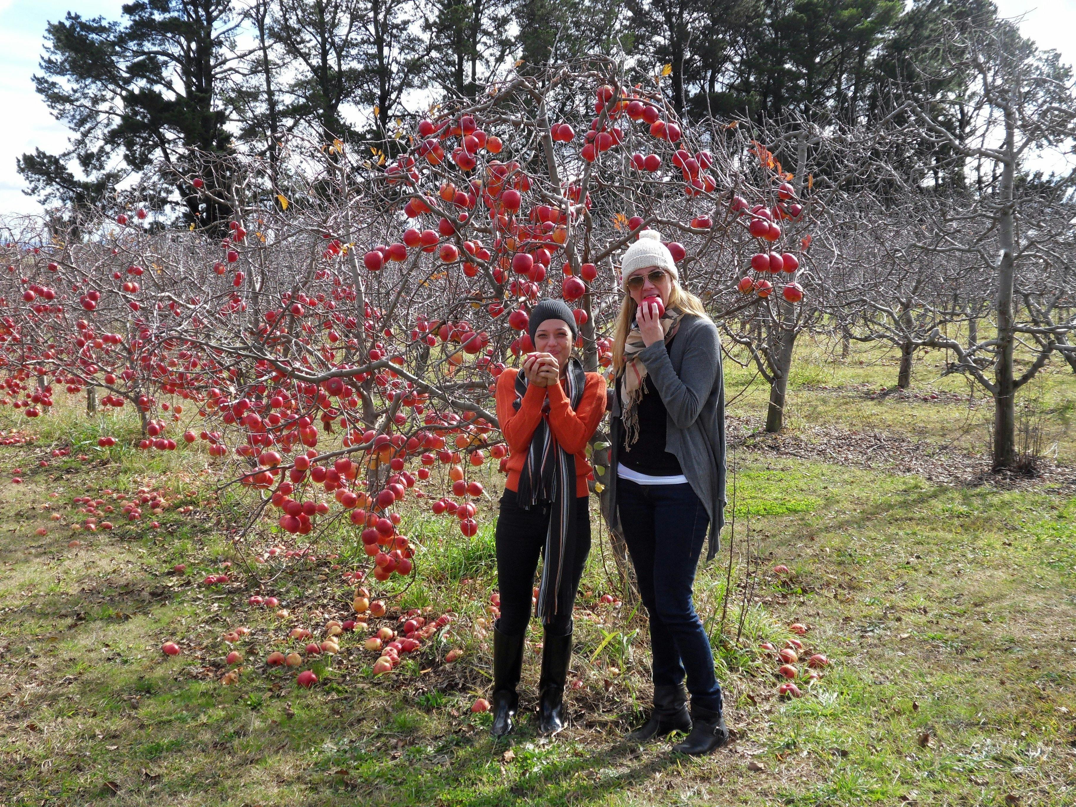 シモのワイン＆フードサファリ