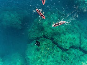 Kayakers looking at a manta ray swimming at crystal clear waters near Hook Island