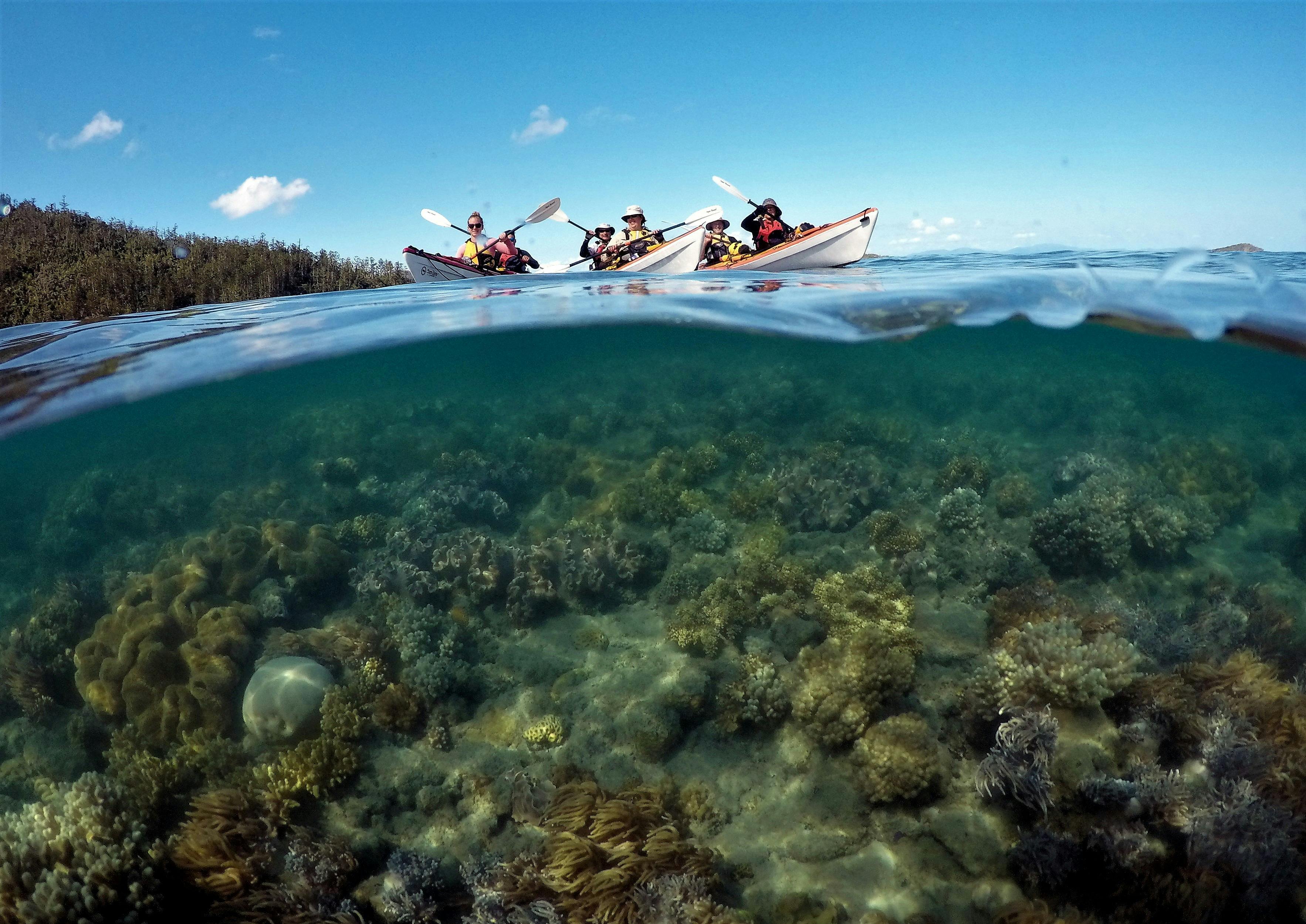 One of the awesome snorkelling areas that we visit on our 6 Day Kayaking Expedition