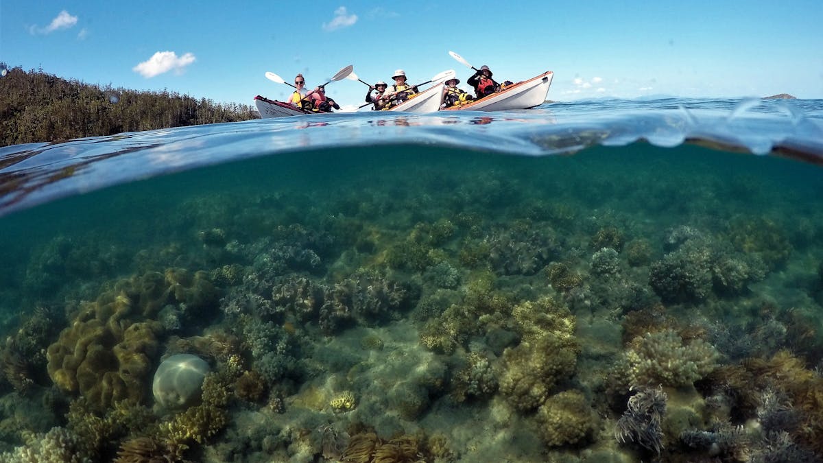 One of the awesome snorkelling areas that we visit on our 6 Day Kayaking Expedition