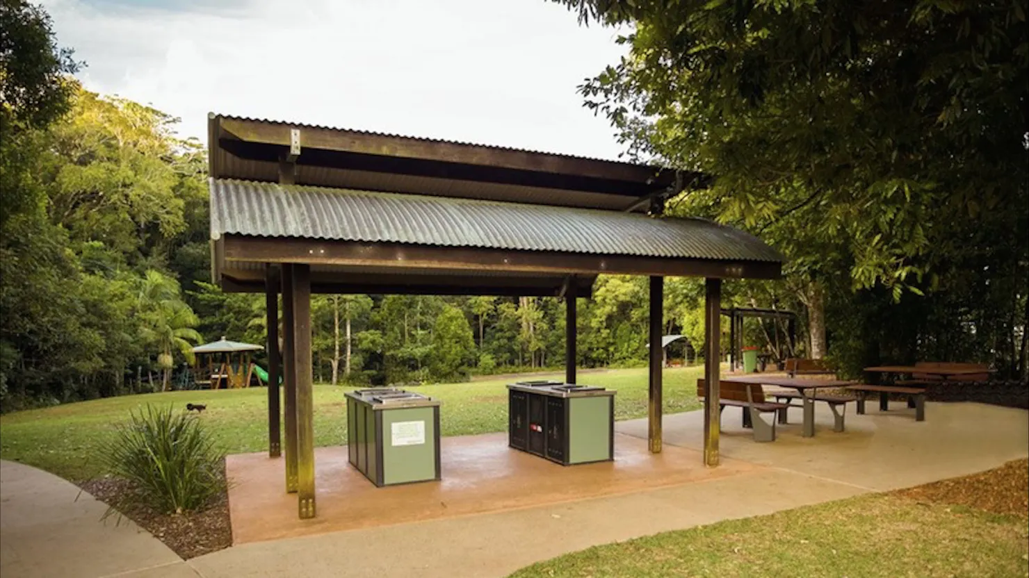 Mary Cairncross Scenic Reserve Rainforest Walk