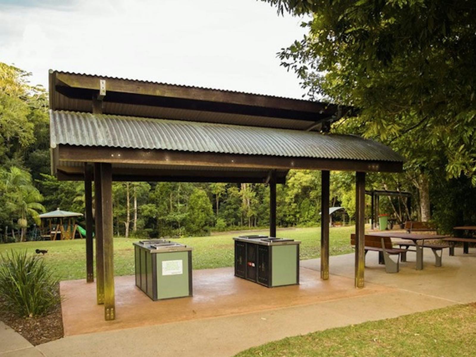 Mary Cairncross Scenic Reserve Rainforest Walk