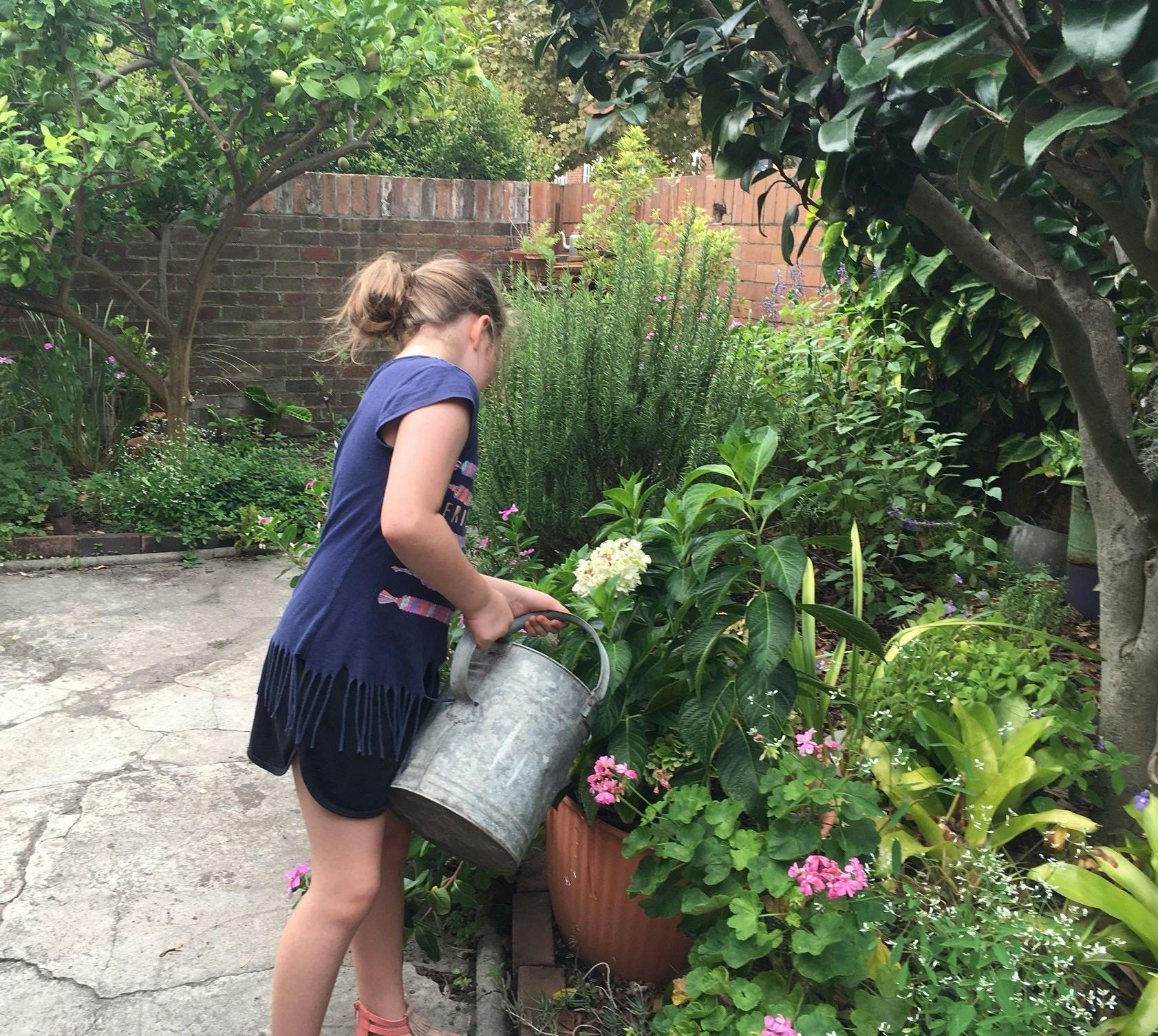 Gardening watering