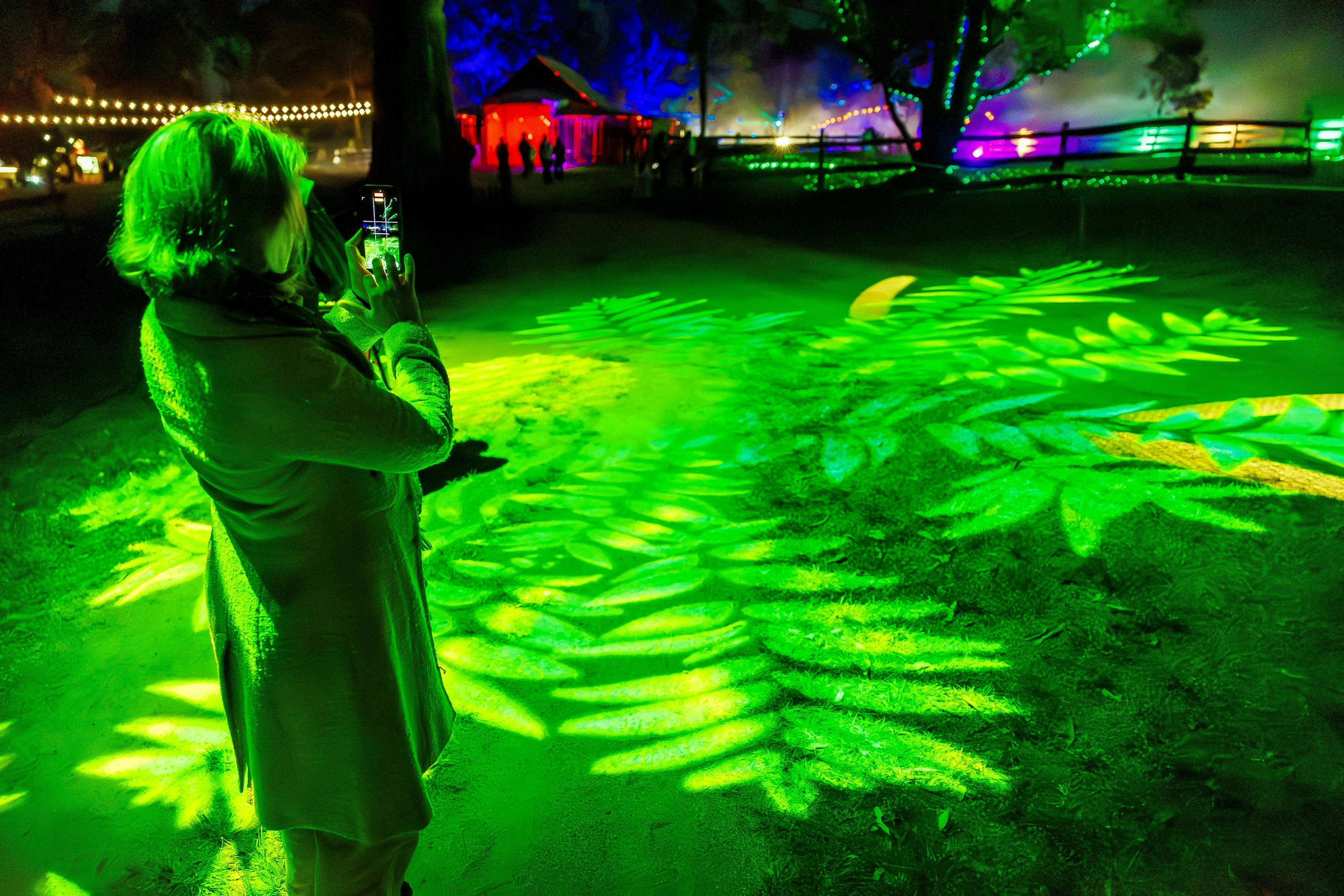 A lady captures an image of green flowers