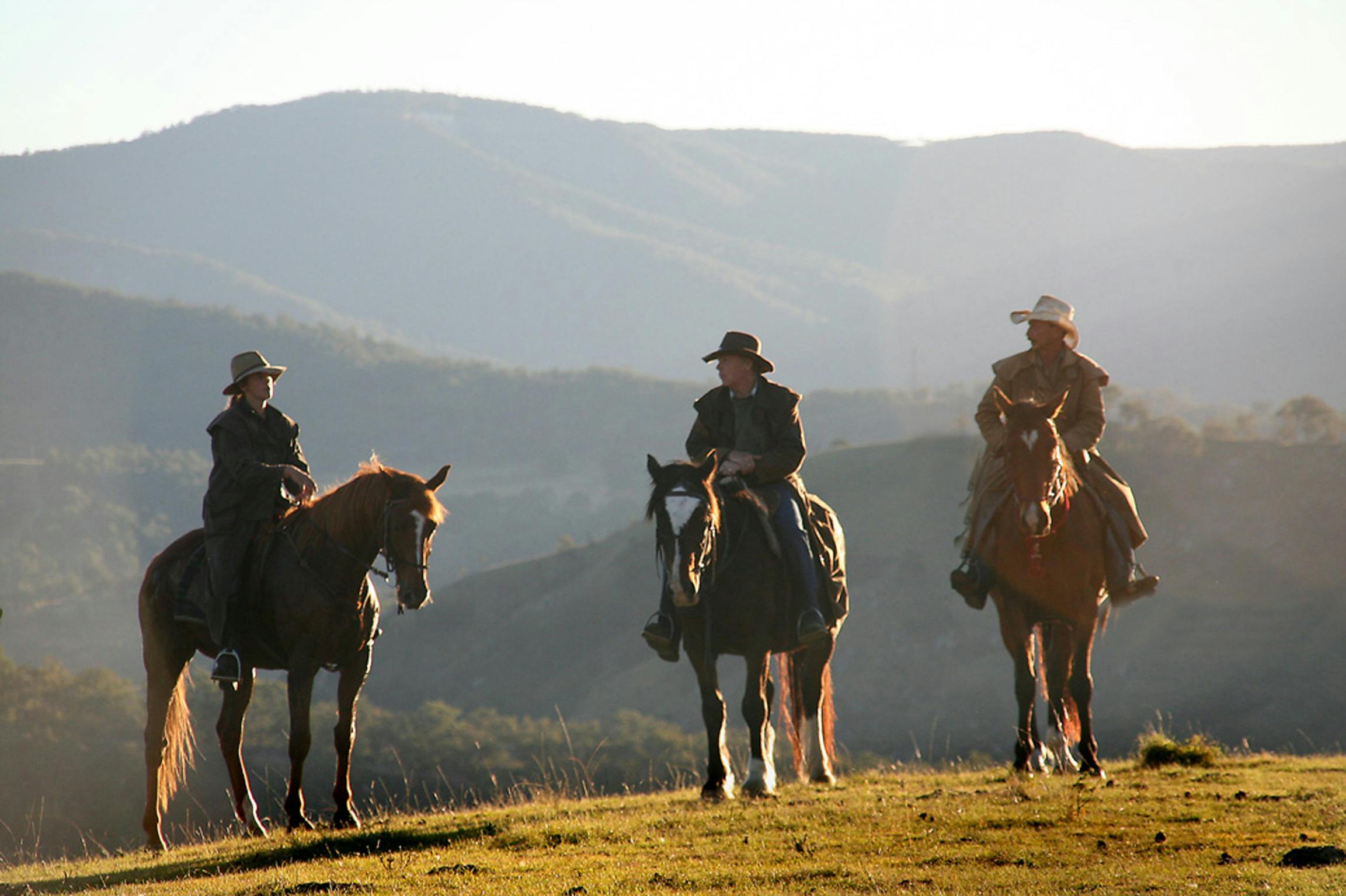 Riders on horsesin the Blue Mounatains  overlooking the ravines  of the Coxs River