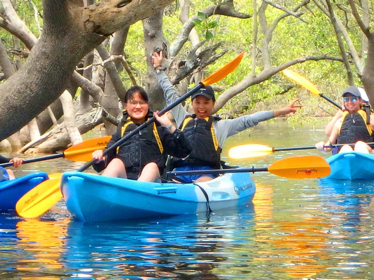 Kayak Mangrove Tour
