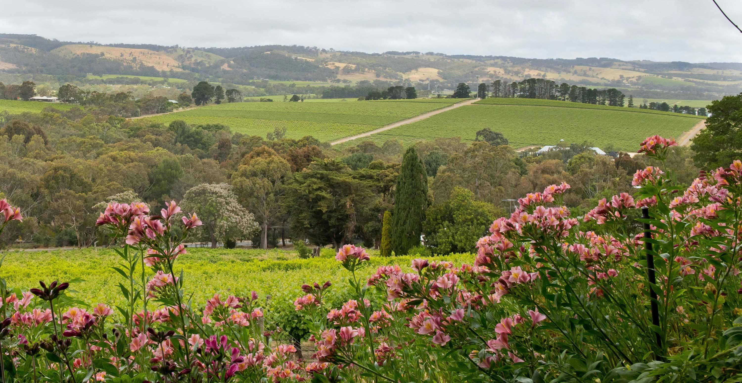 Bec Hardy Wines Weddings