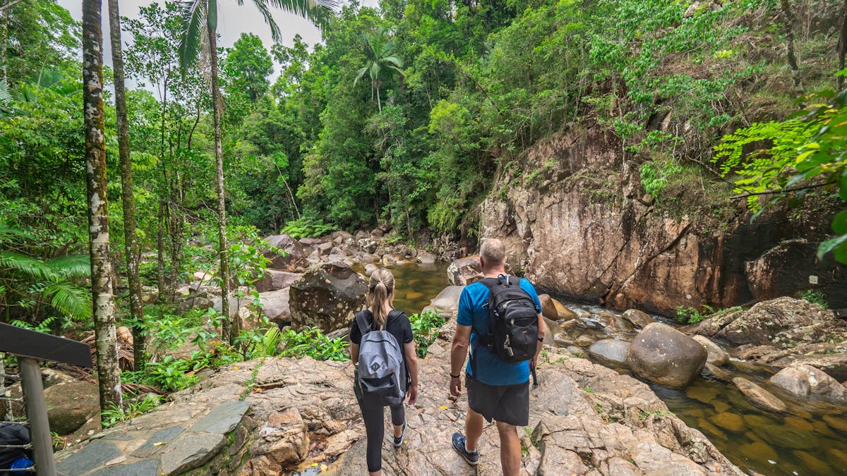Eungella National Park
