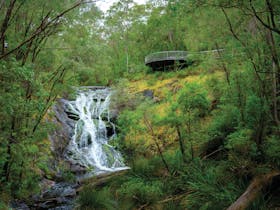 Beedelup Falls, near Pemberton, Western Australia