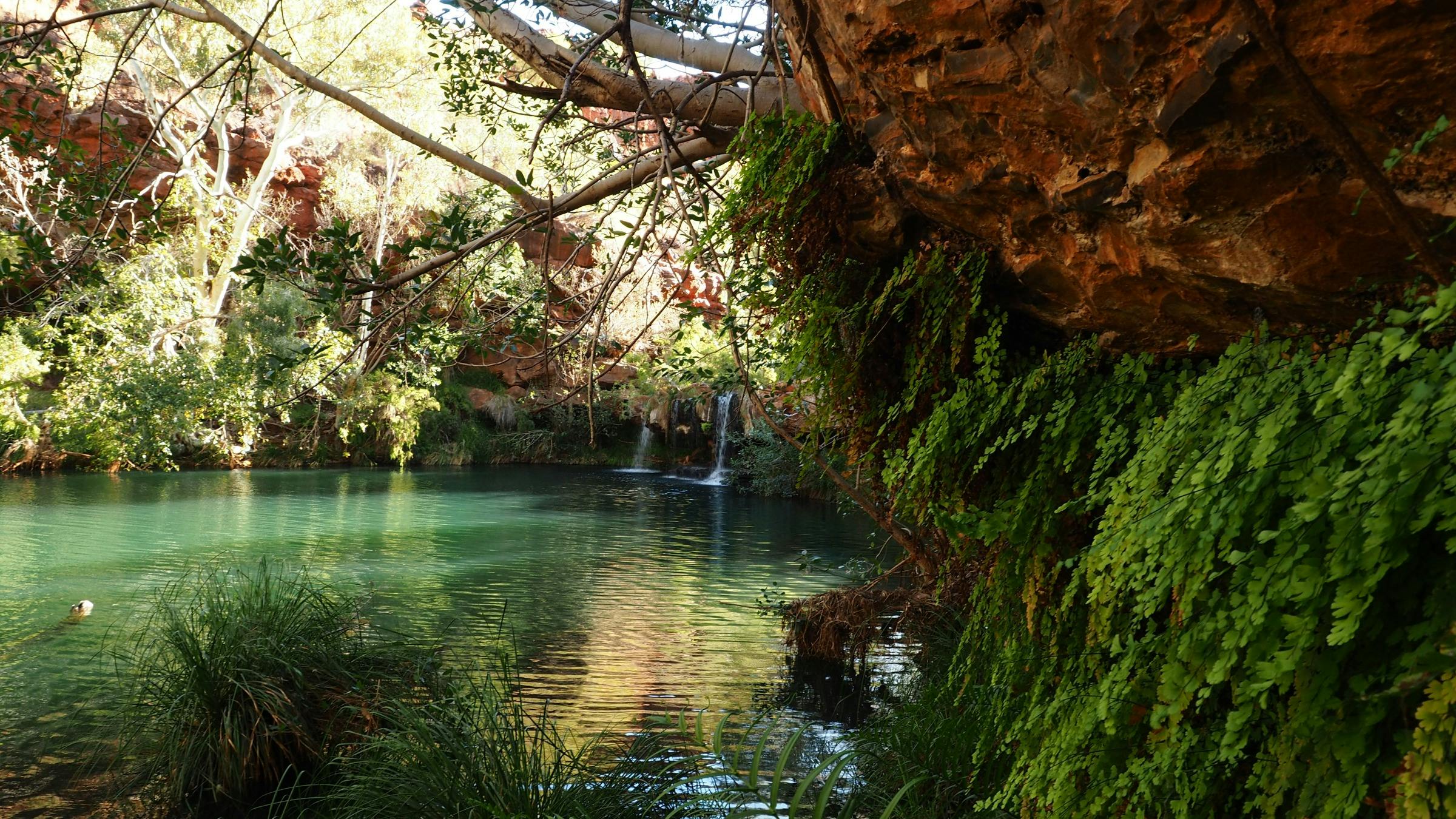 Capture the Light Photographic Tours, Joondalup, Western Australia