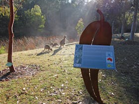 Eurobodalla Regional Botanic Gardens