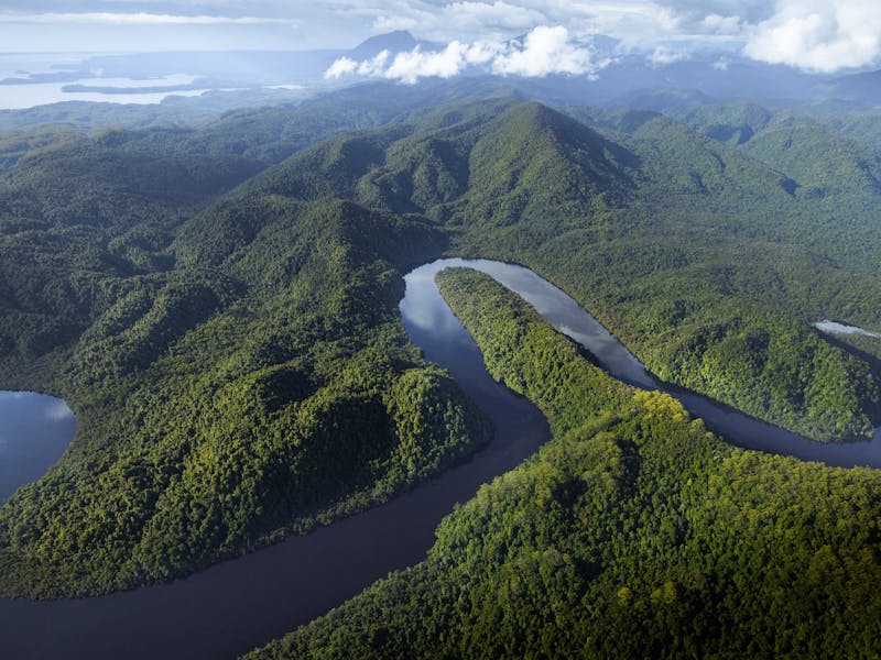 Gordon River