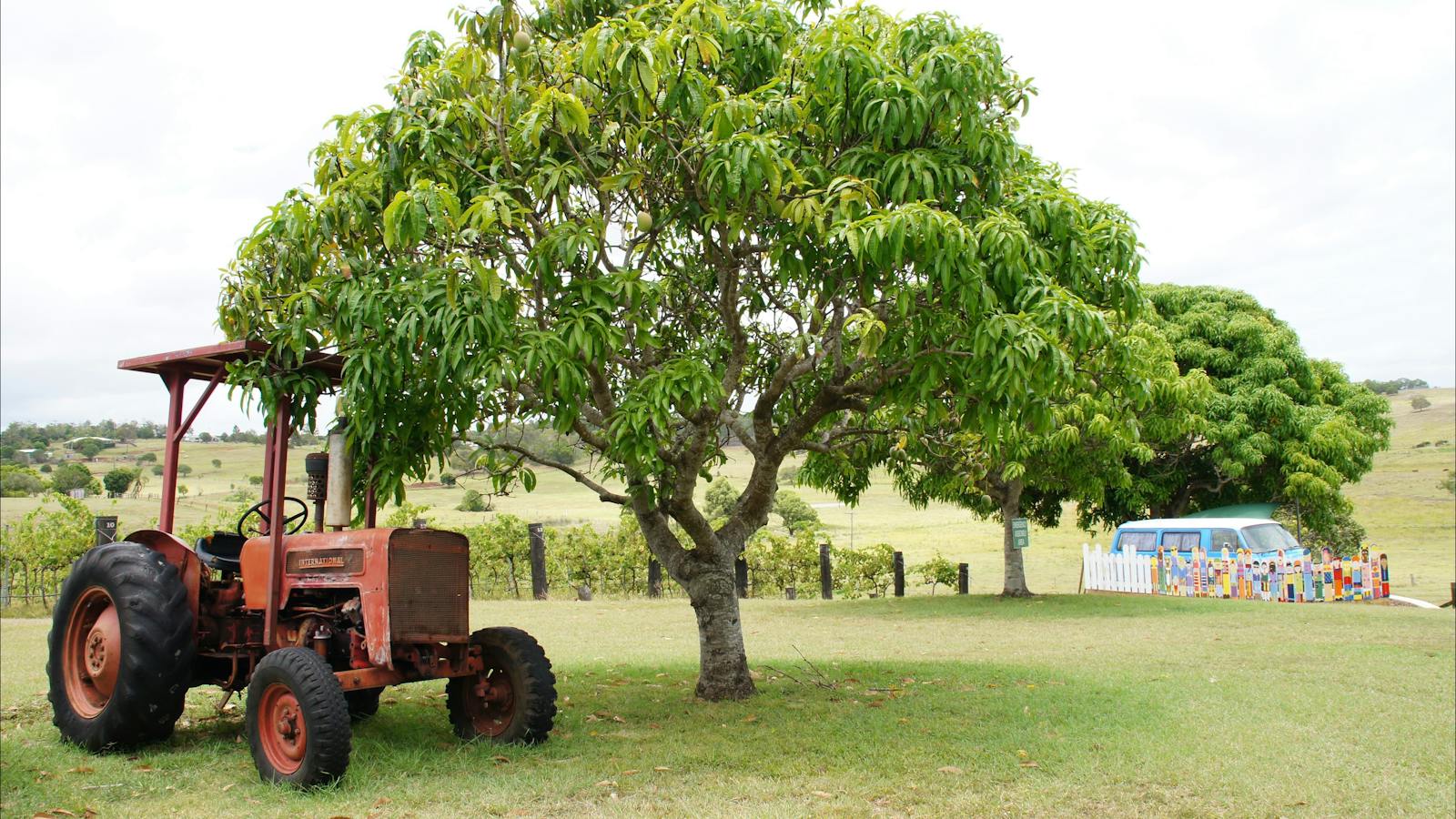 Vitner's Secret Winery