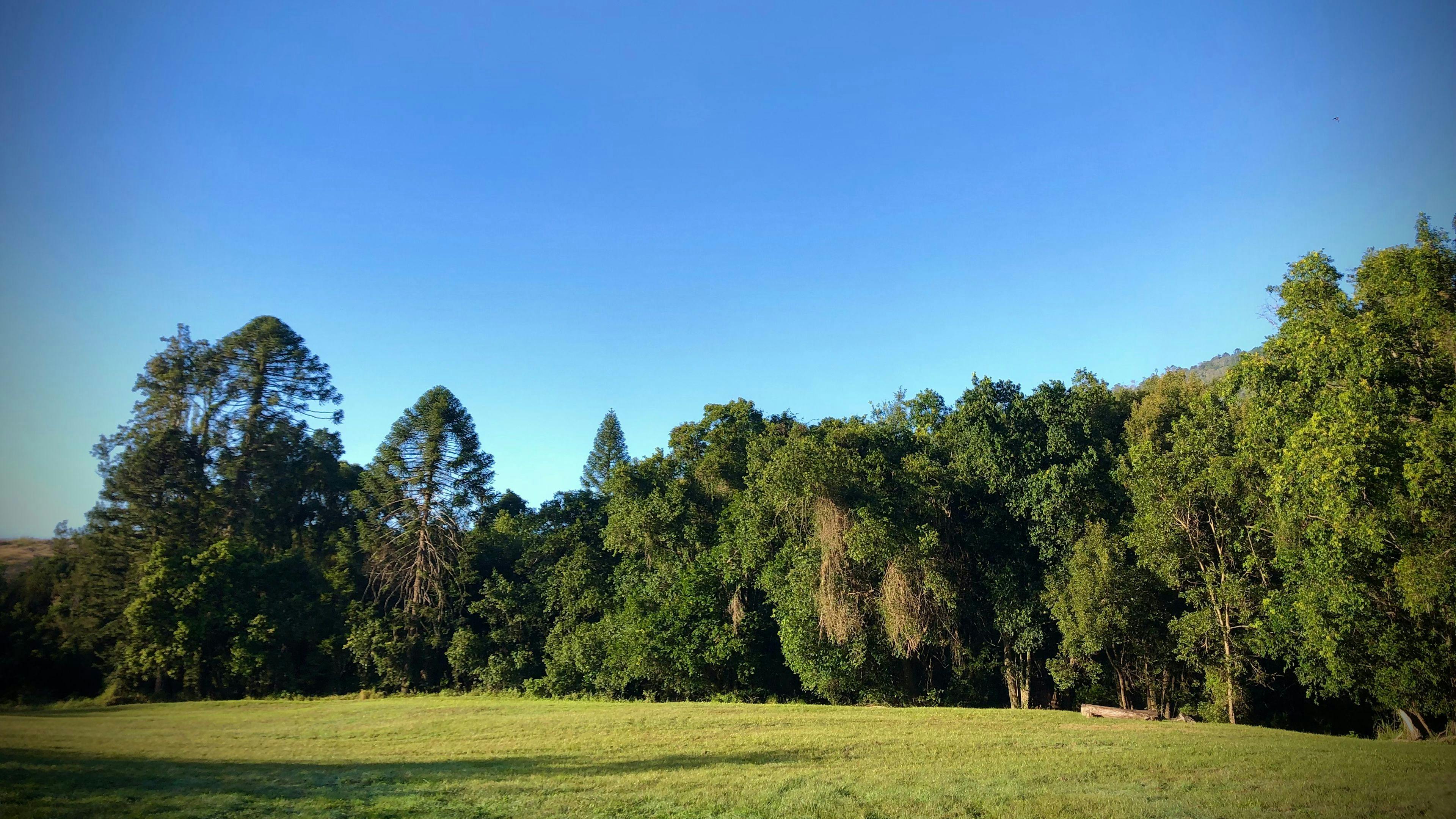 Amamoor Creek Camping Retreat