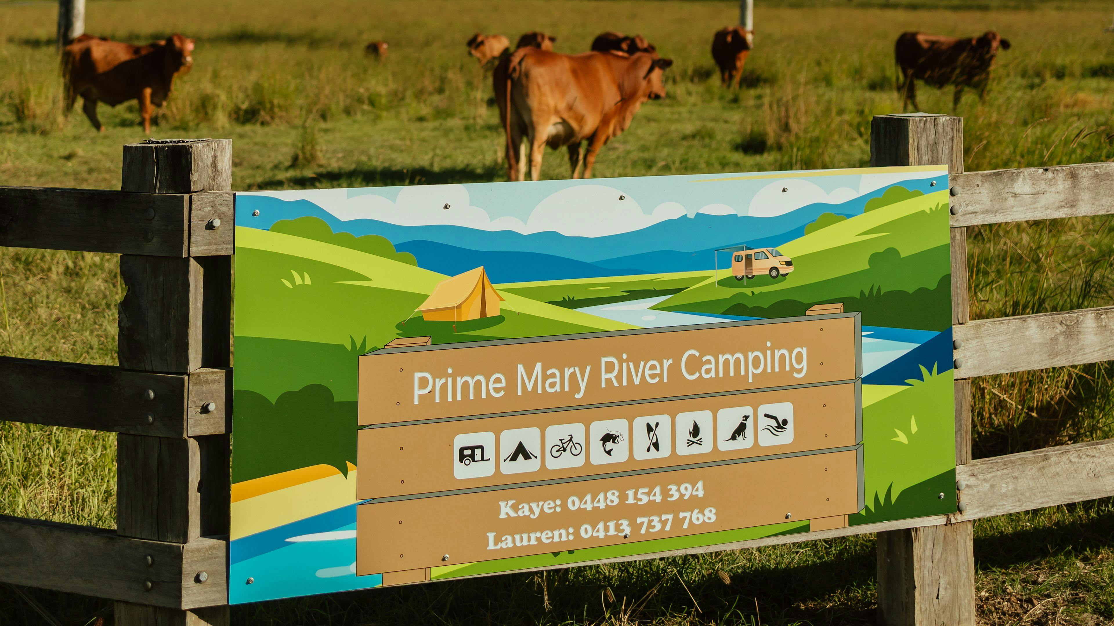 Prime Mary River Camping
