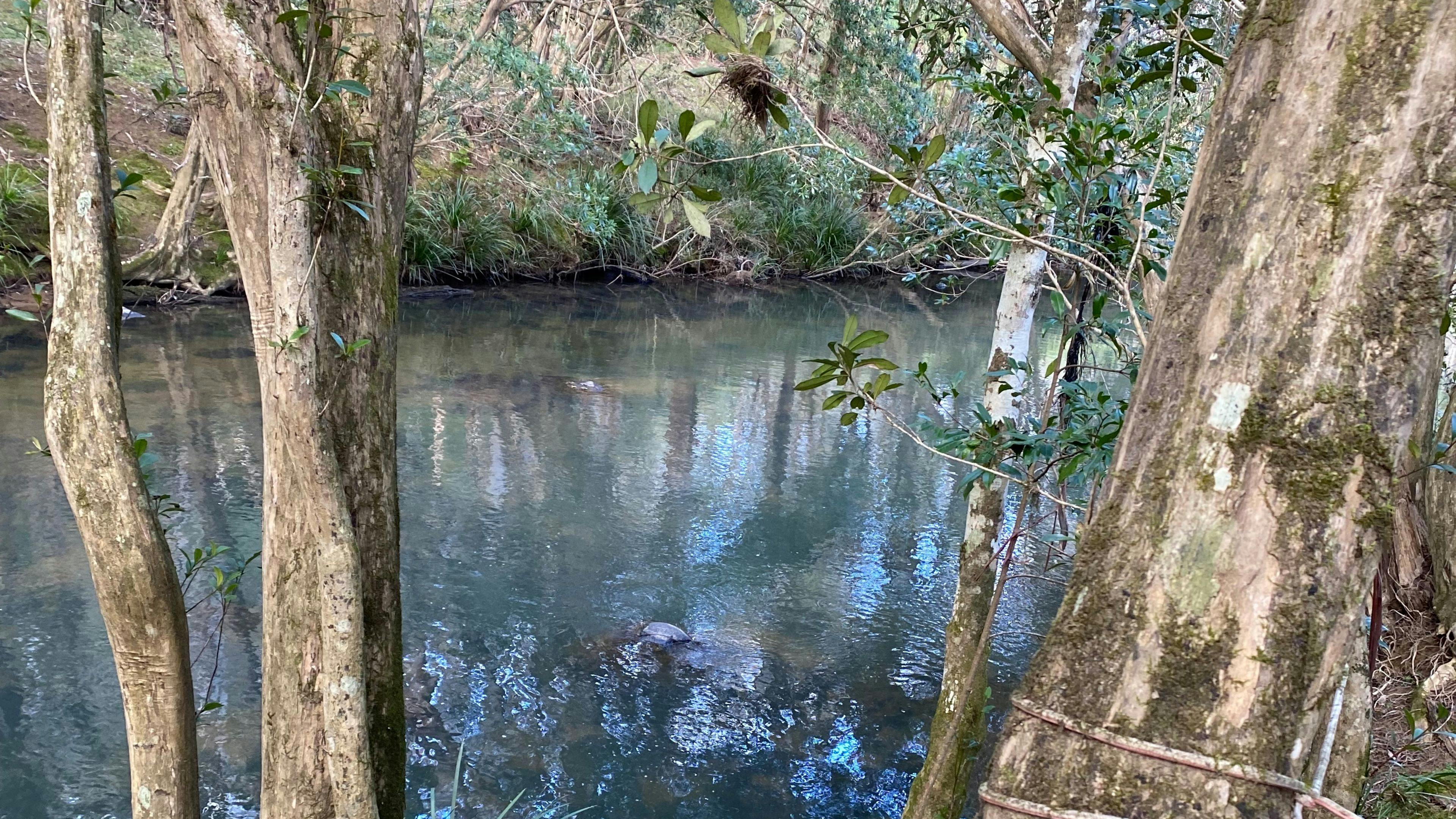 Elands TereTulemast EXCLUSIVE SITES