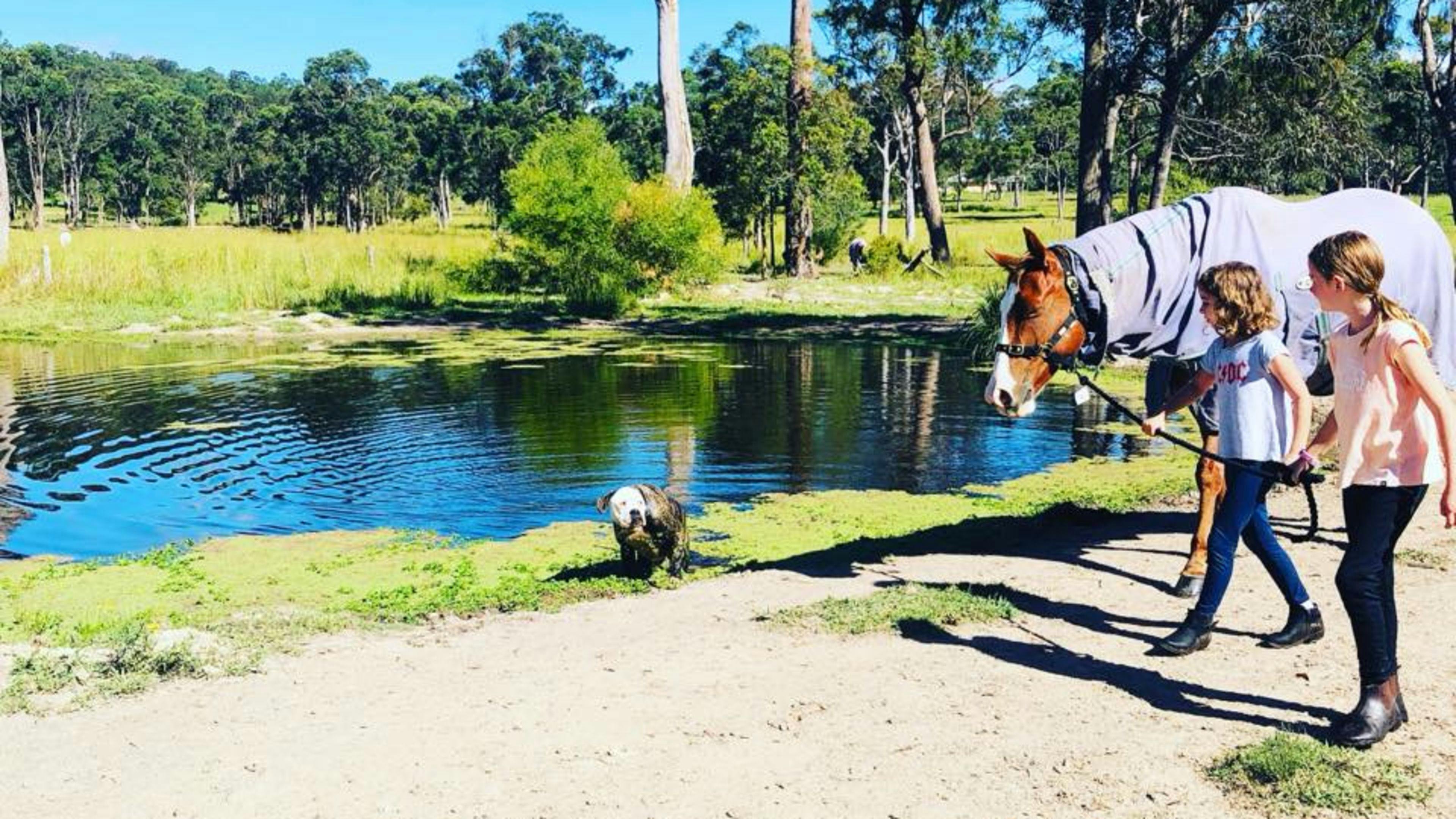 エメラルドパーク・エクイーン